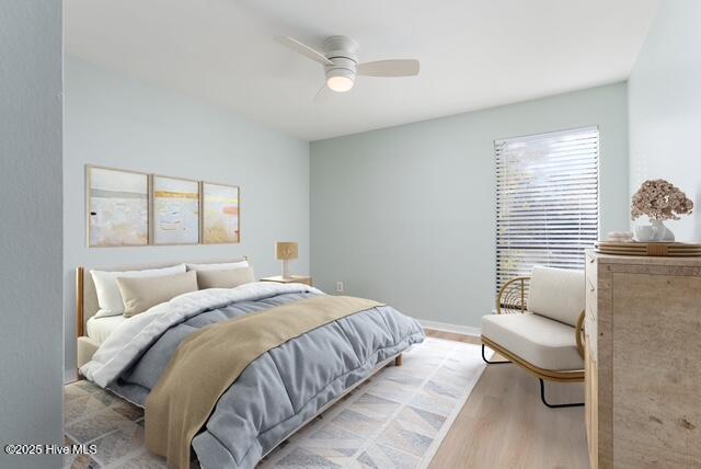 100519799 | Photo 10