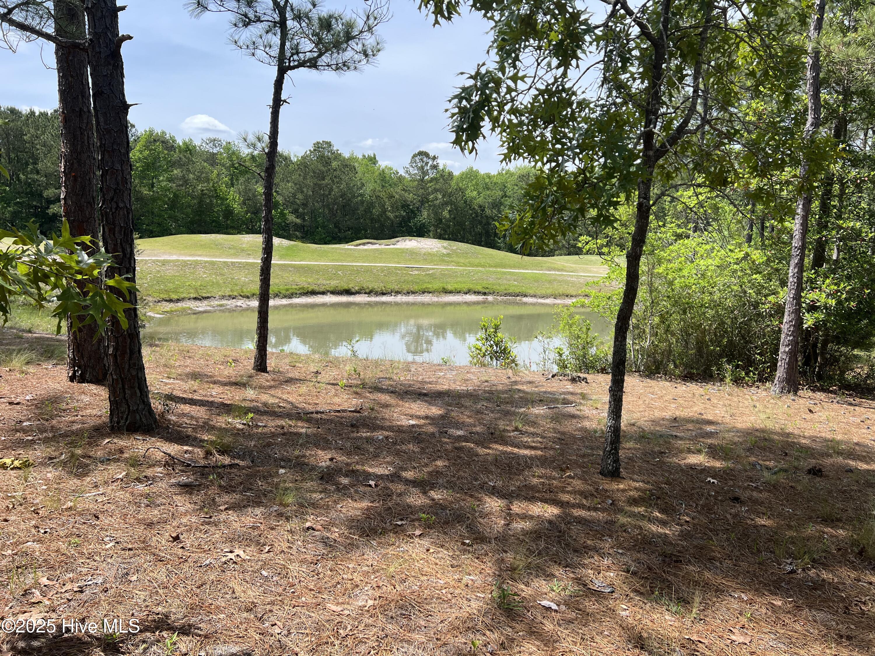 100506027 | Photo 17