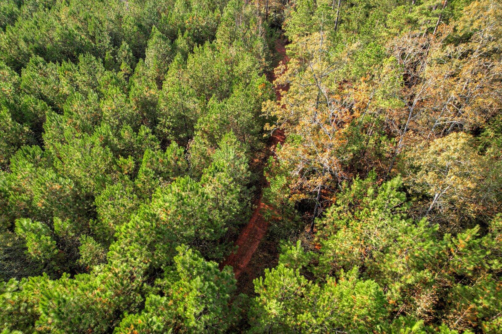 TBD2 SC-23, Edgefield, SC, 29824