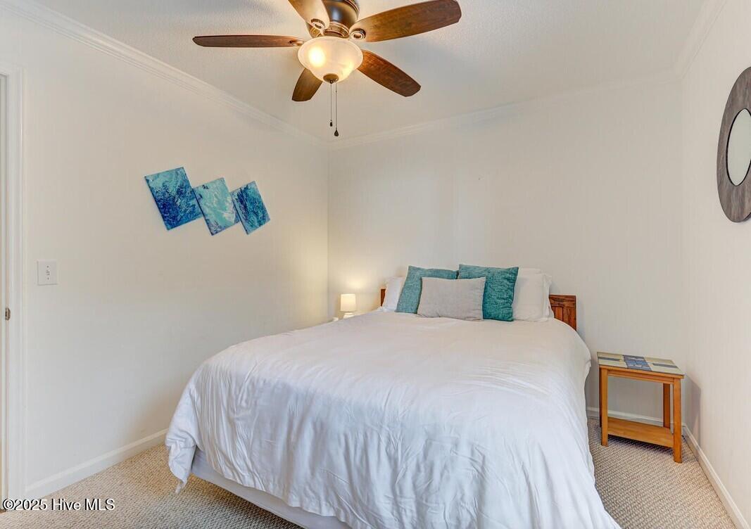 100543510 | Photo 21