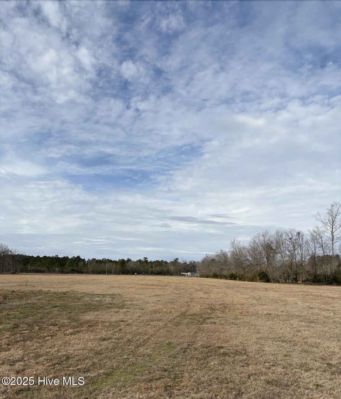 100532071 | Photo 17