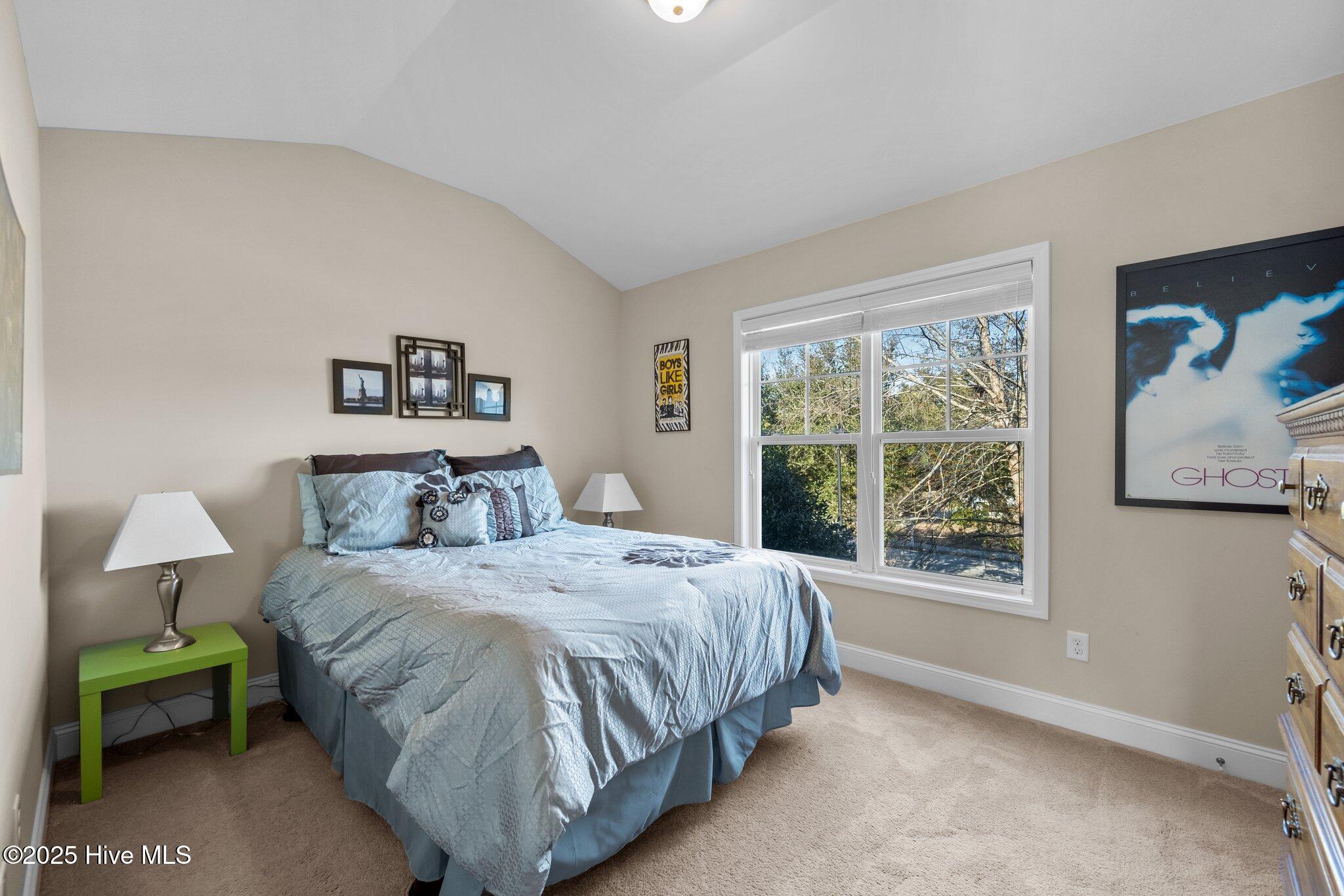 100488790 | Photo 25