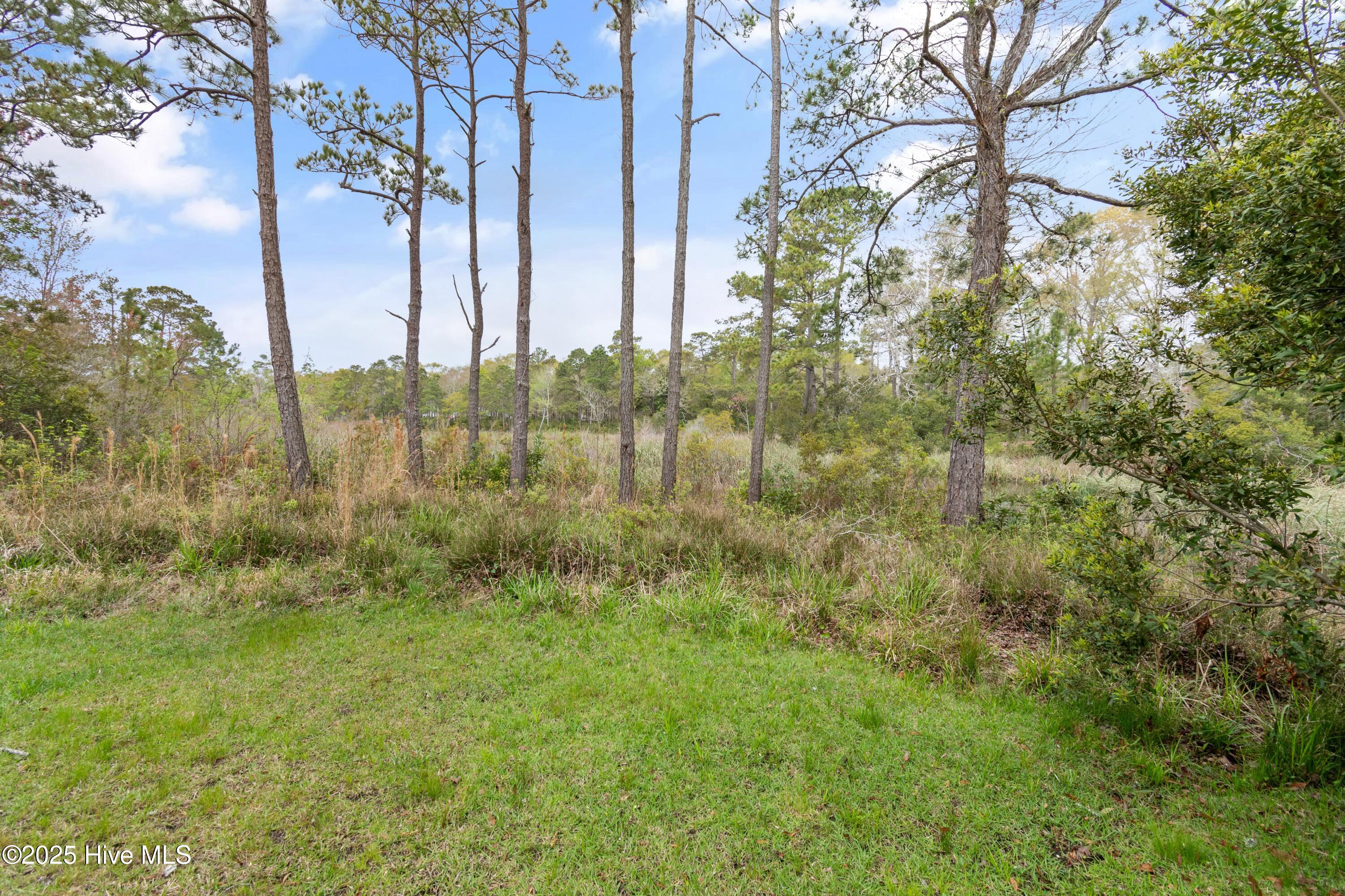 100520830 | Photo 66