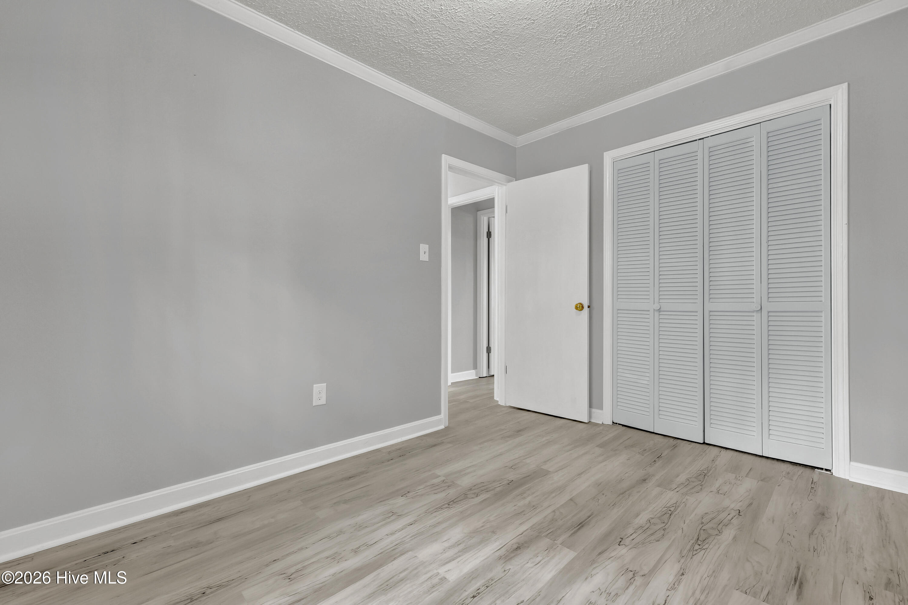 100564655 | Photo 17