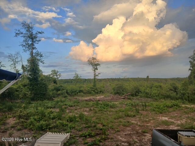 Photo 3 of Land for sale at 1570 Hephzibah Mcbean Rd, Hephzibah, GA 30815 | MLS# 100603736 | Listing updated on 2026-09-15