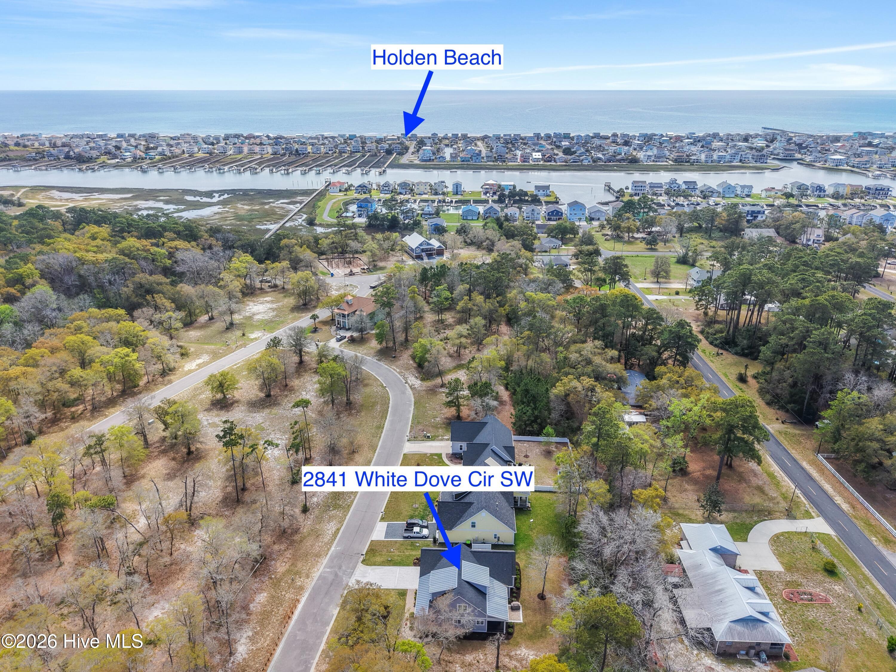 100565017 | Photo 60