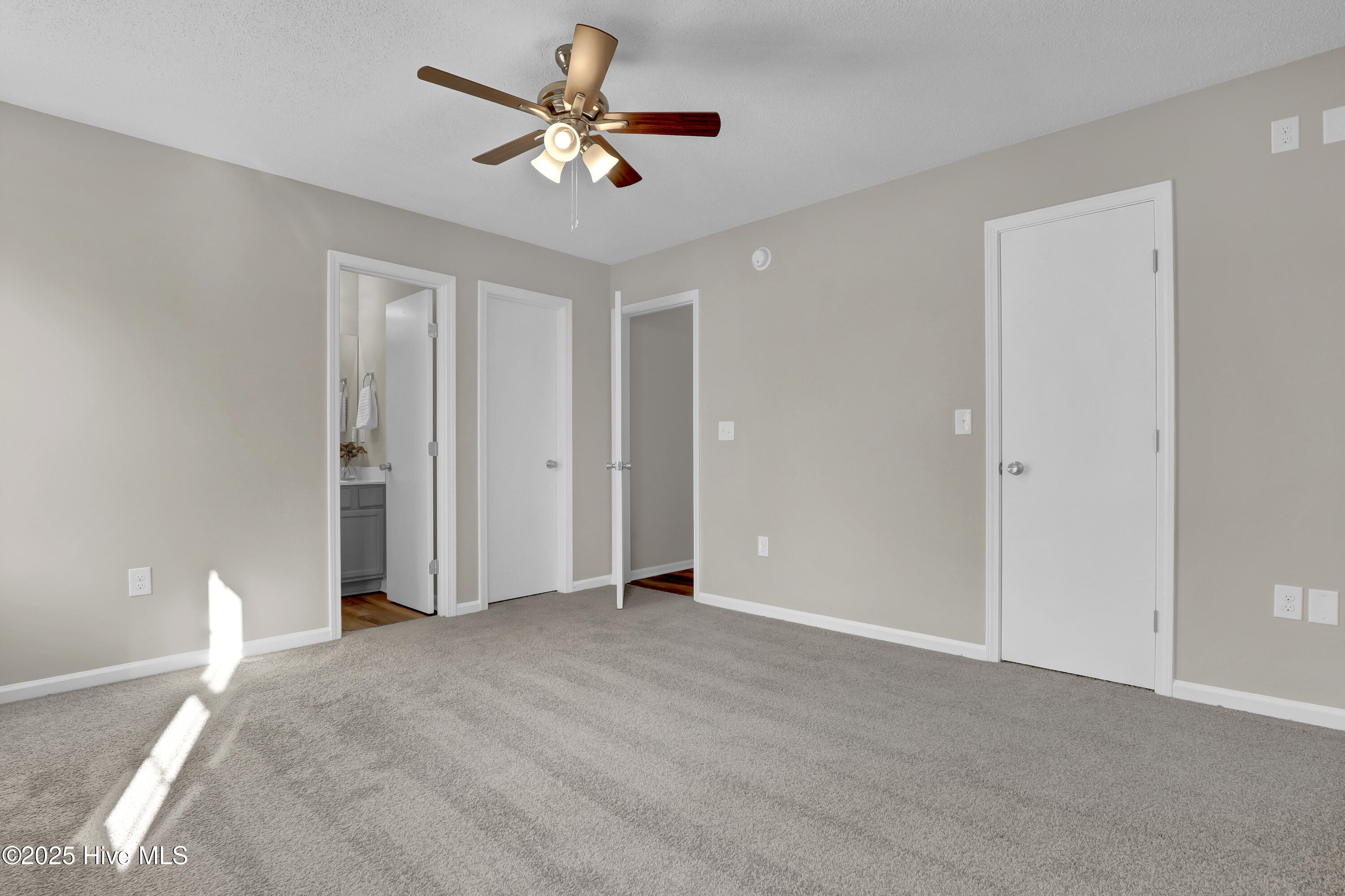 100545251 | Photo 13