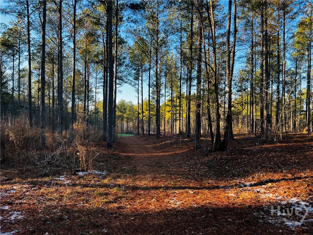 2285 Cherokee Road, Comer, GA, 30629