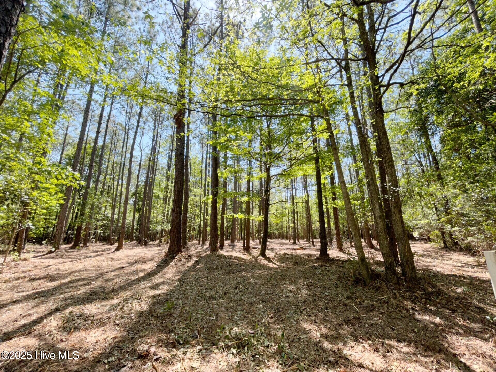 379 132 Mill Creek Drive,Minnesott Beach