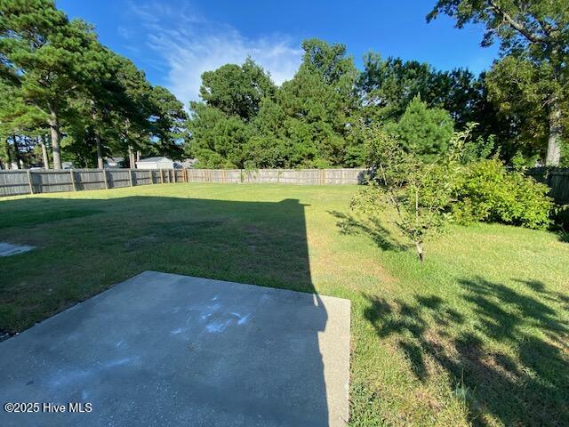 100523436 | Photo 25