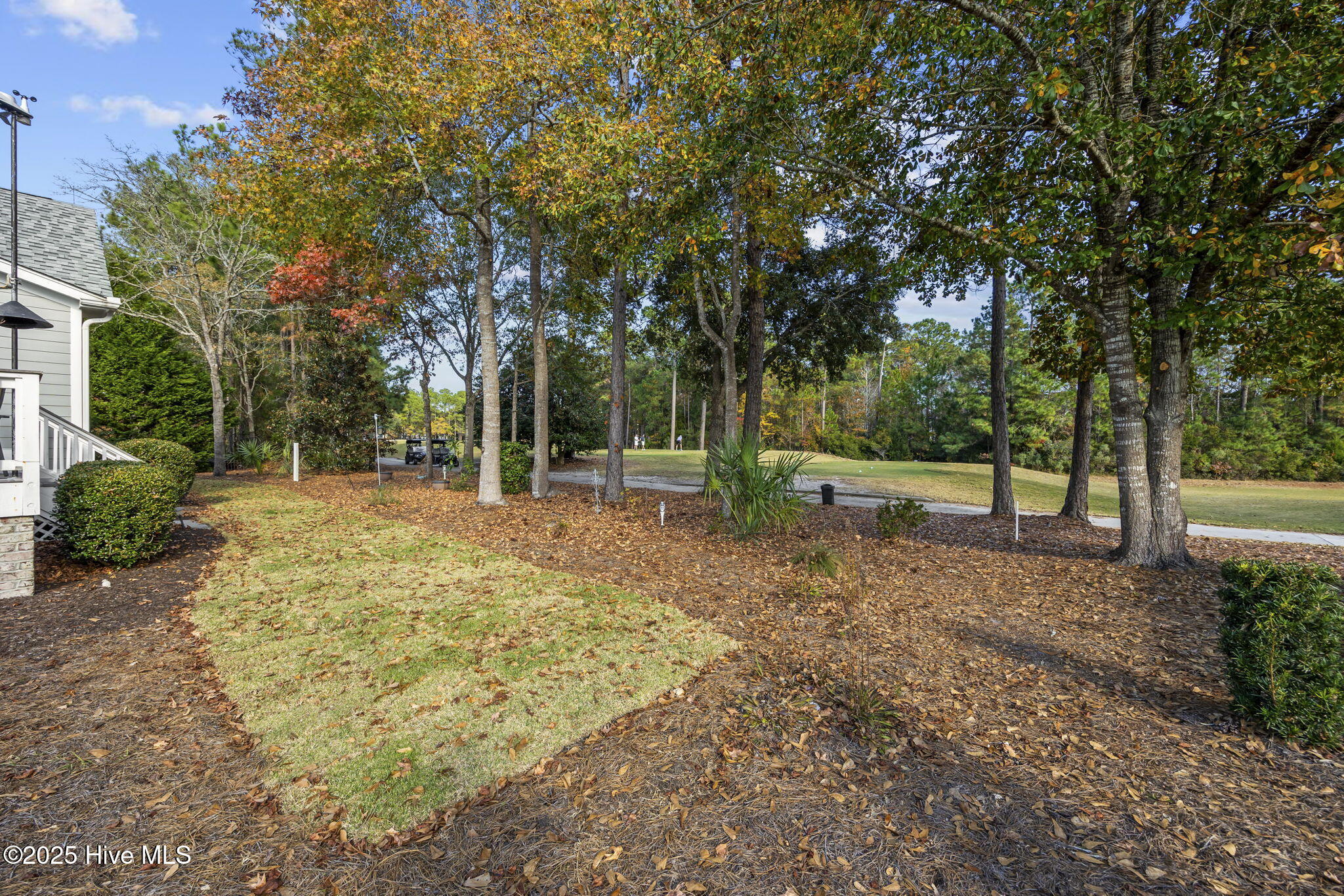 100542443 | Photo 33