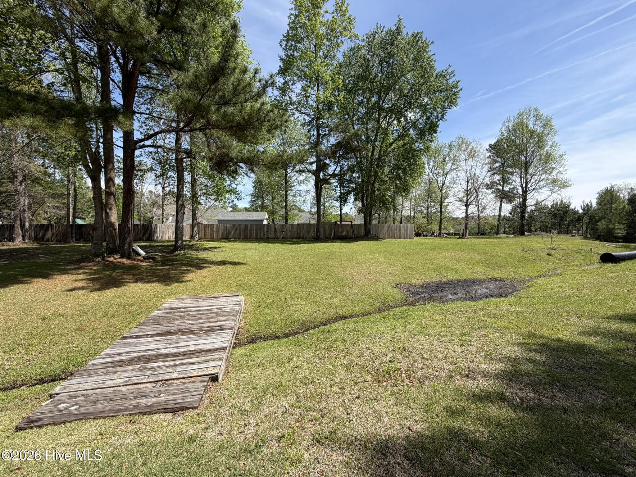 100565225 | Photo 66