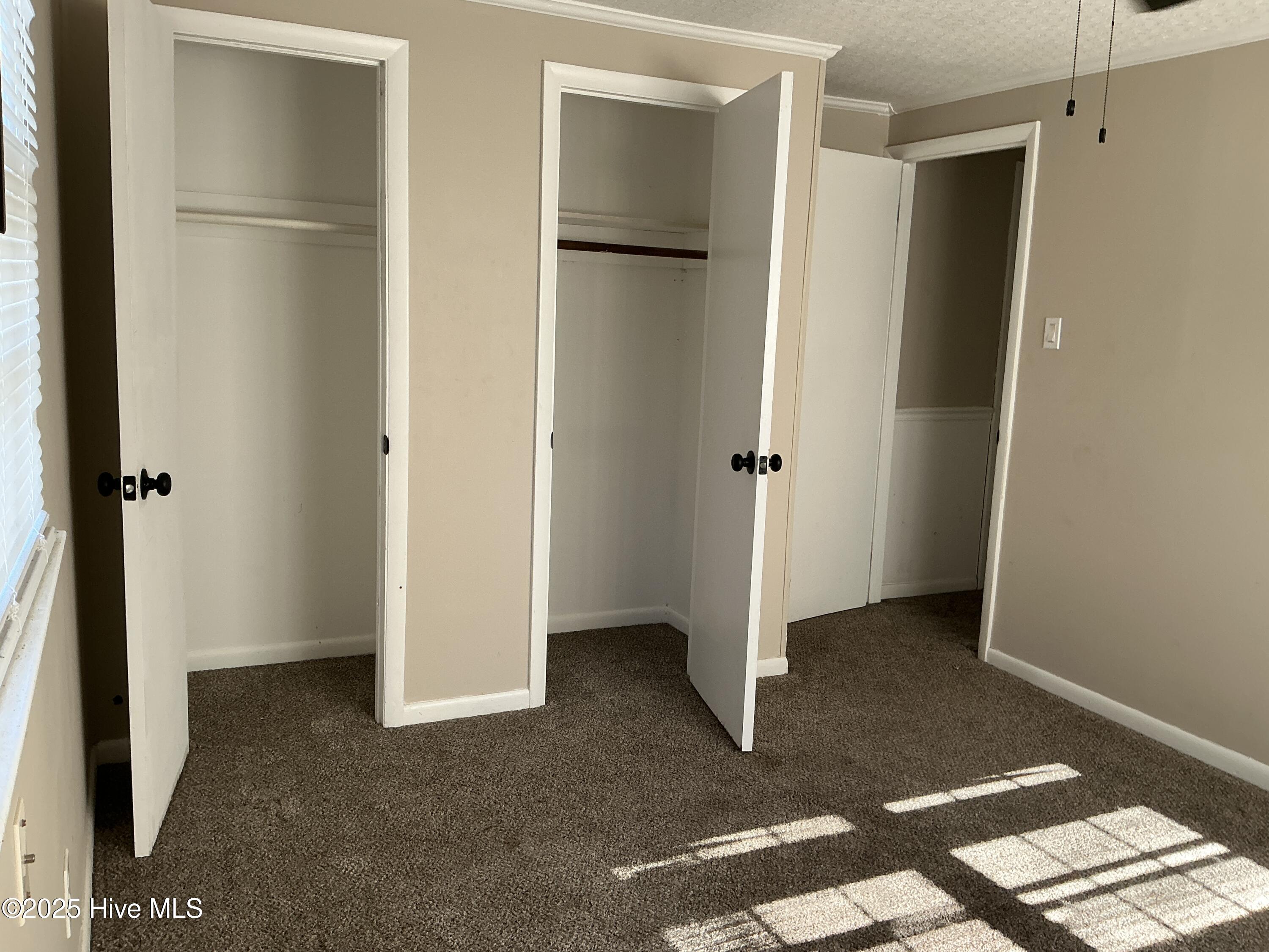 100537252 | Photo 20