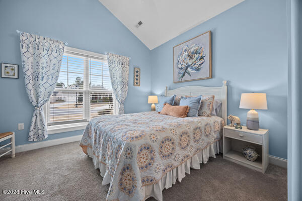 100557247 | Photo 17