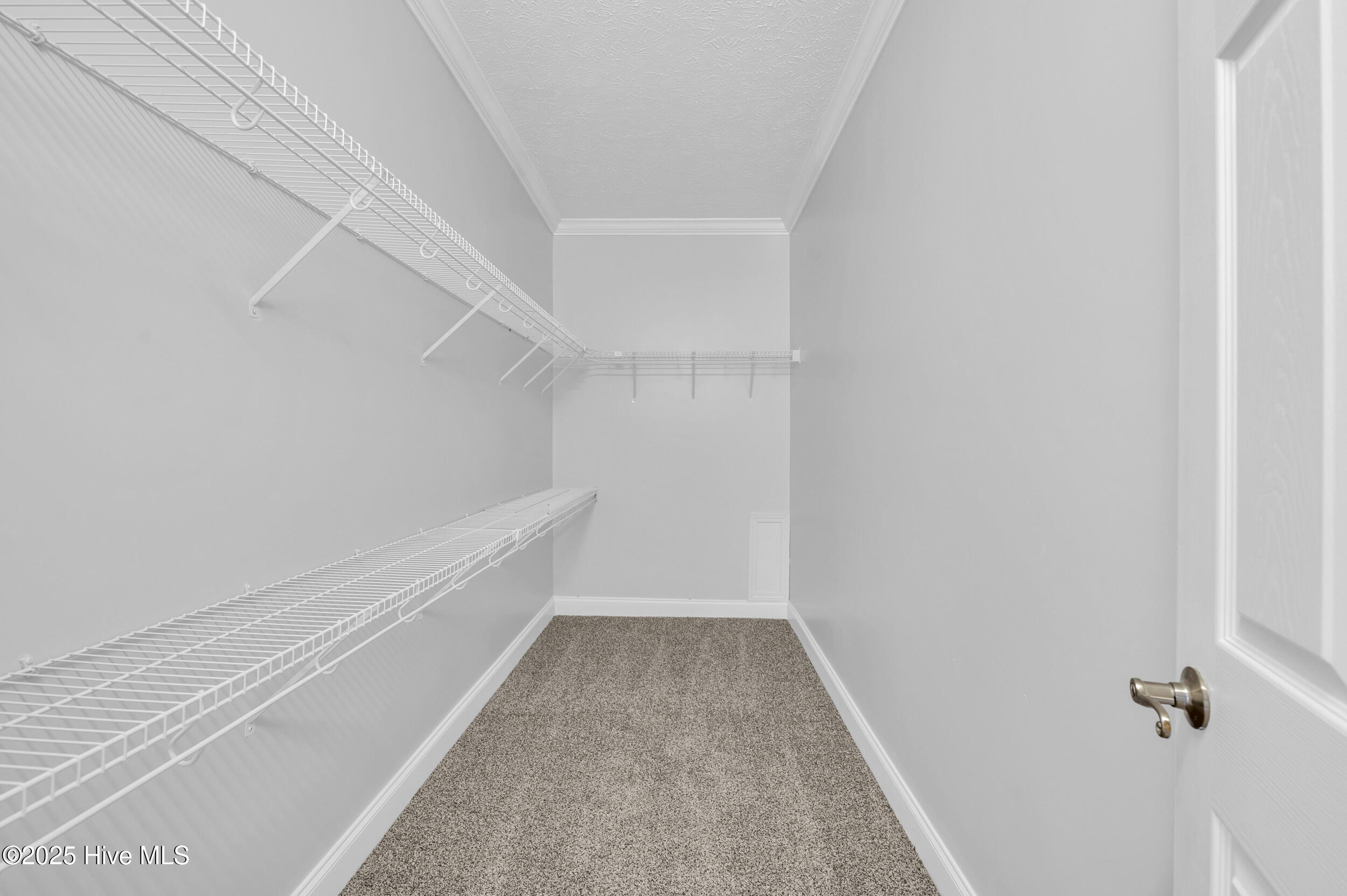 100537986 | Photo 14