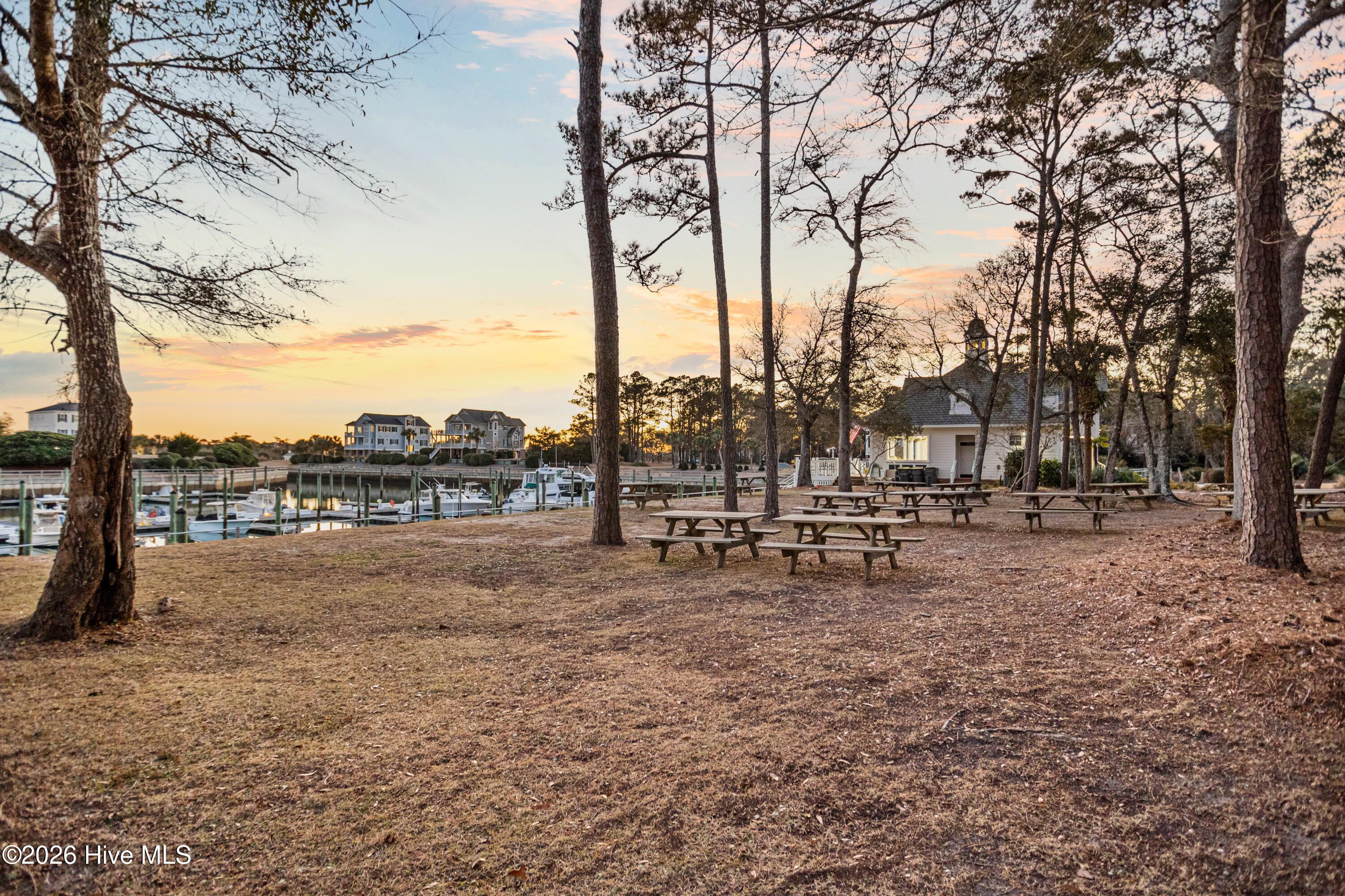 100560596 | Photo 78