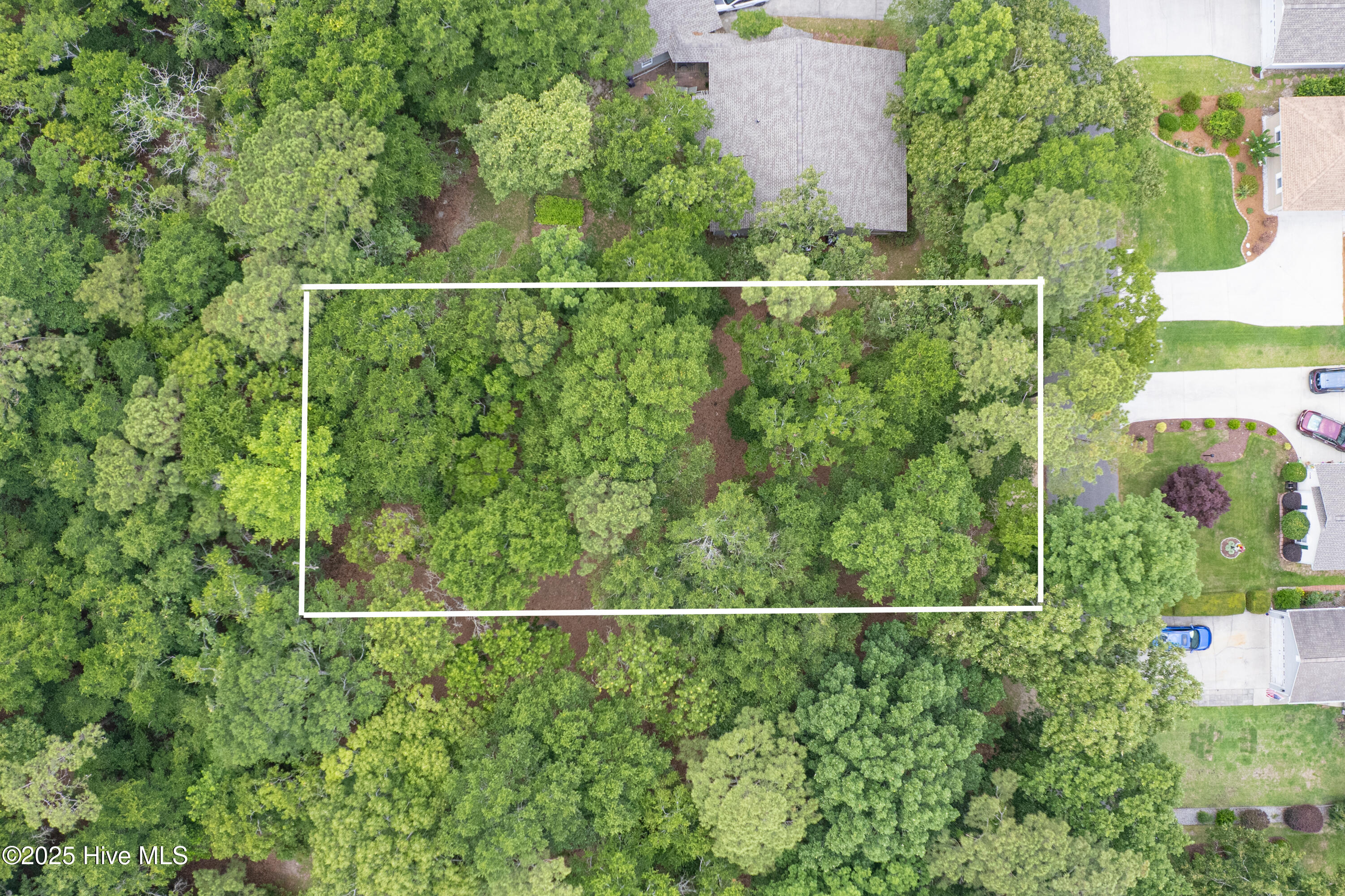 100548101 | Photo 10