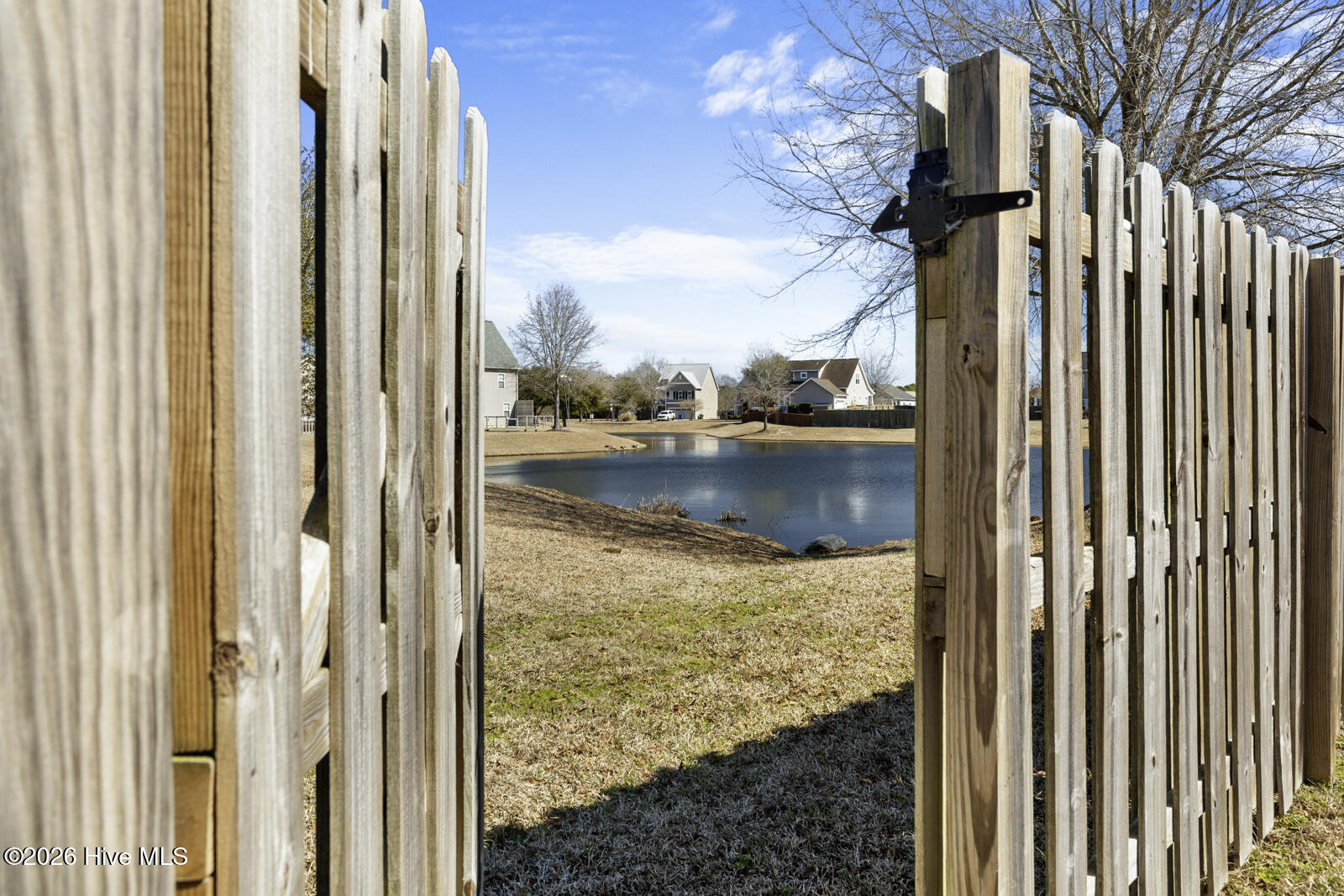 100556898 | Photo 31