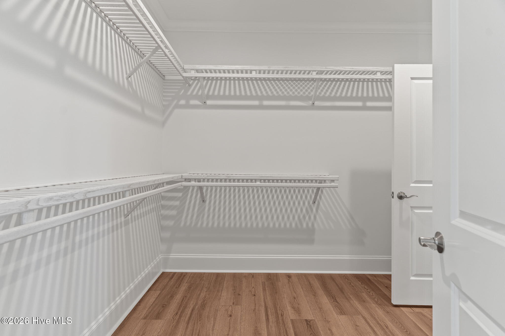 100554681 | Photo 29