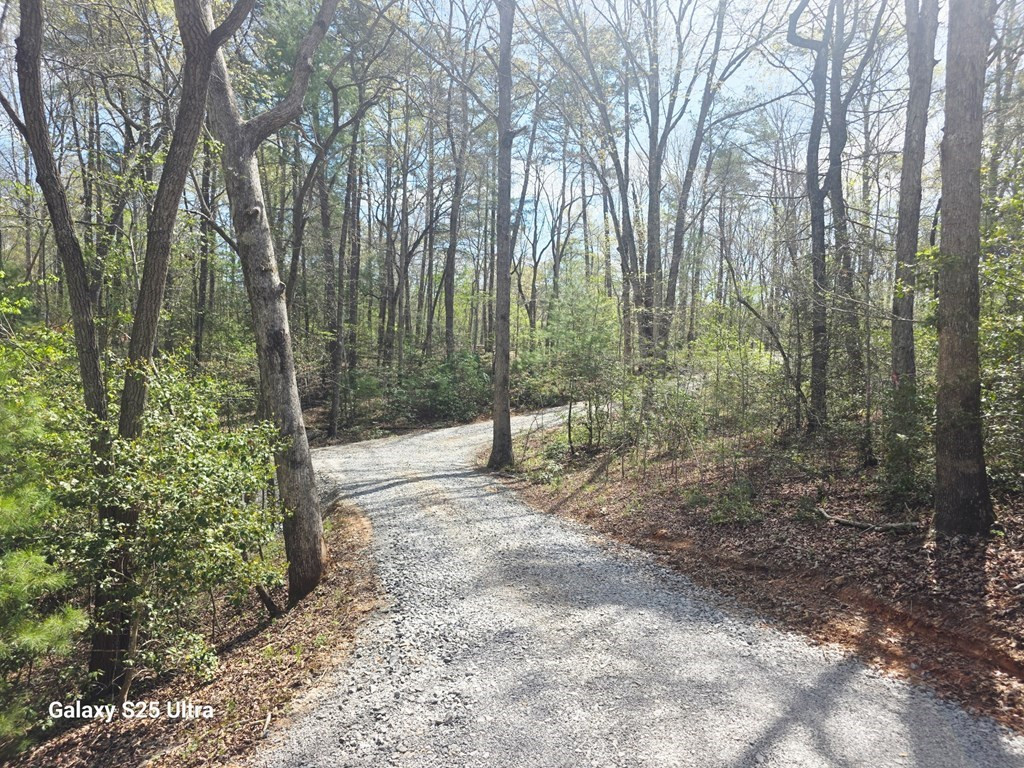 369 Nottley River Road, Murphy, NC 28906 Listing Photo  4