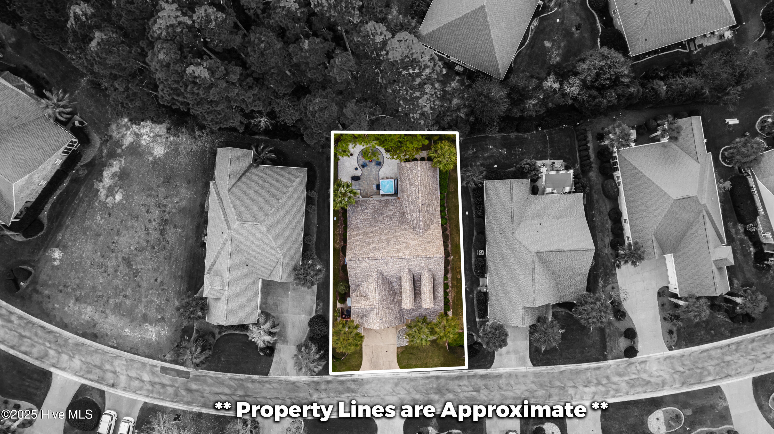 100542426 | Photo 51