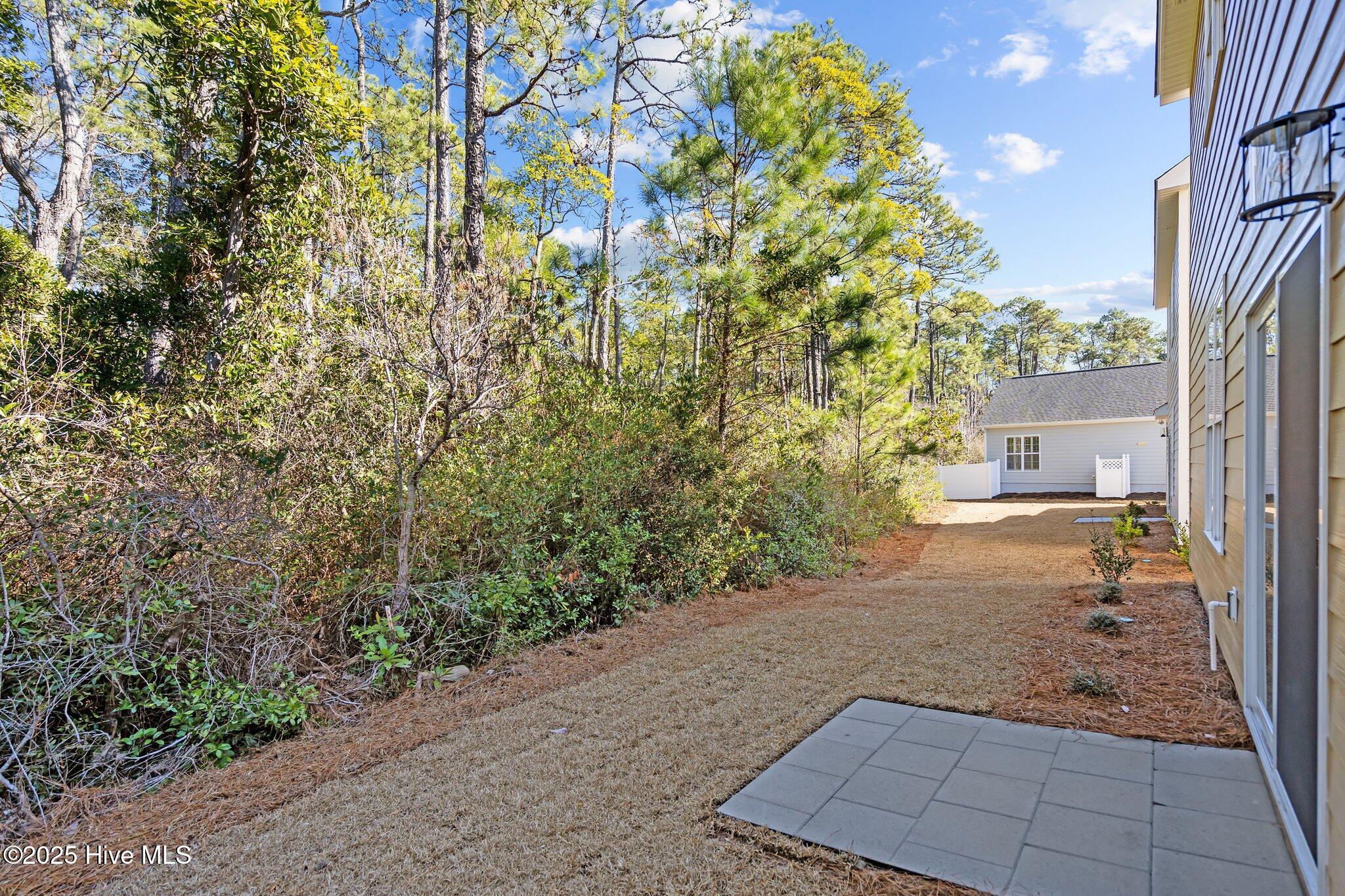 100556571 | Photo 43