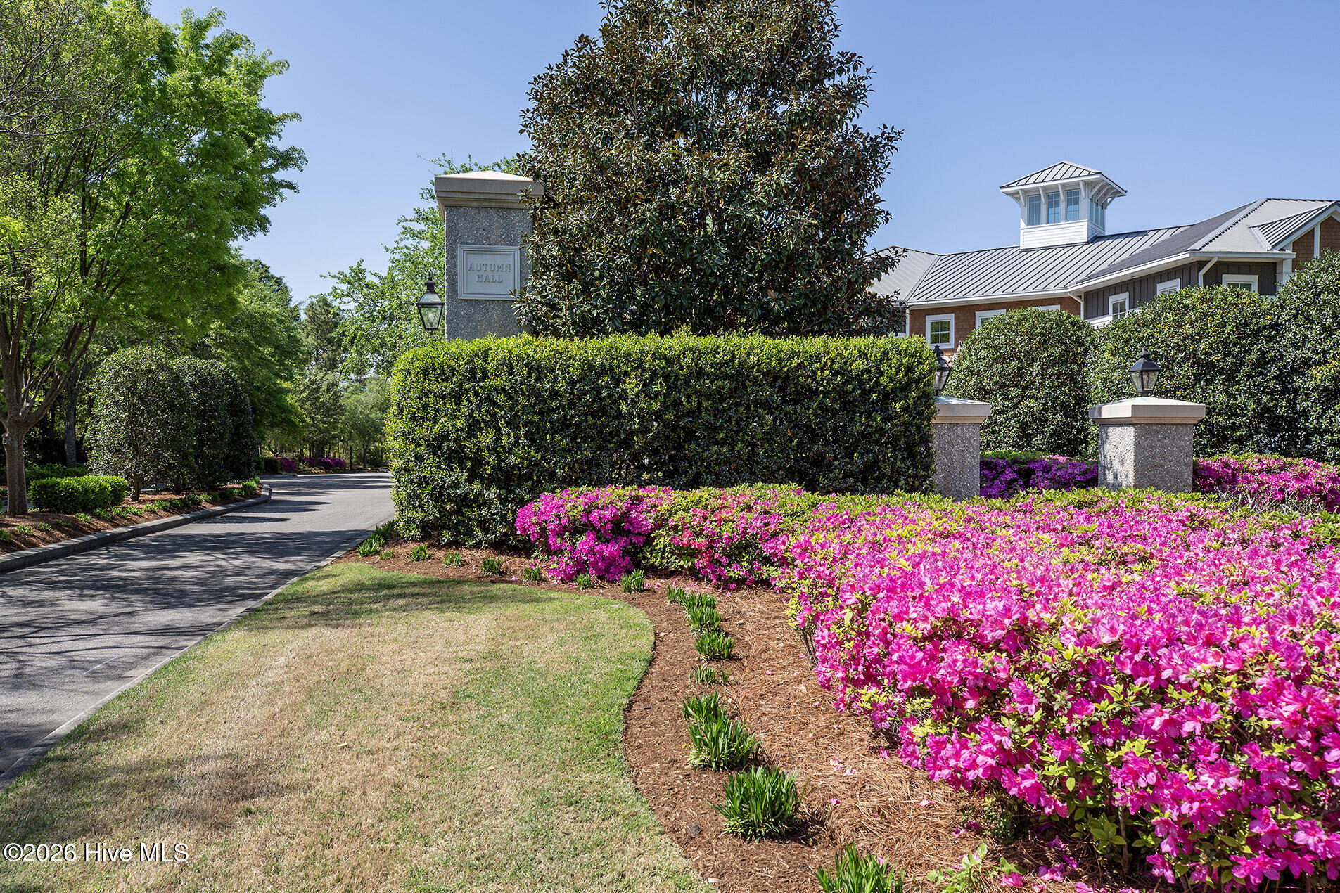 100563719 | Photo 64