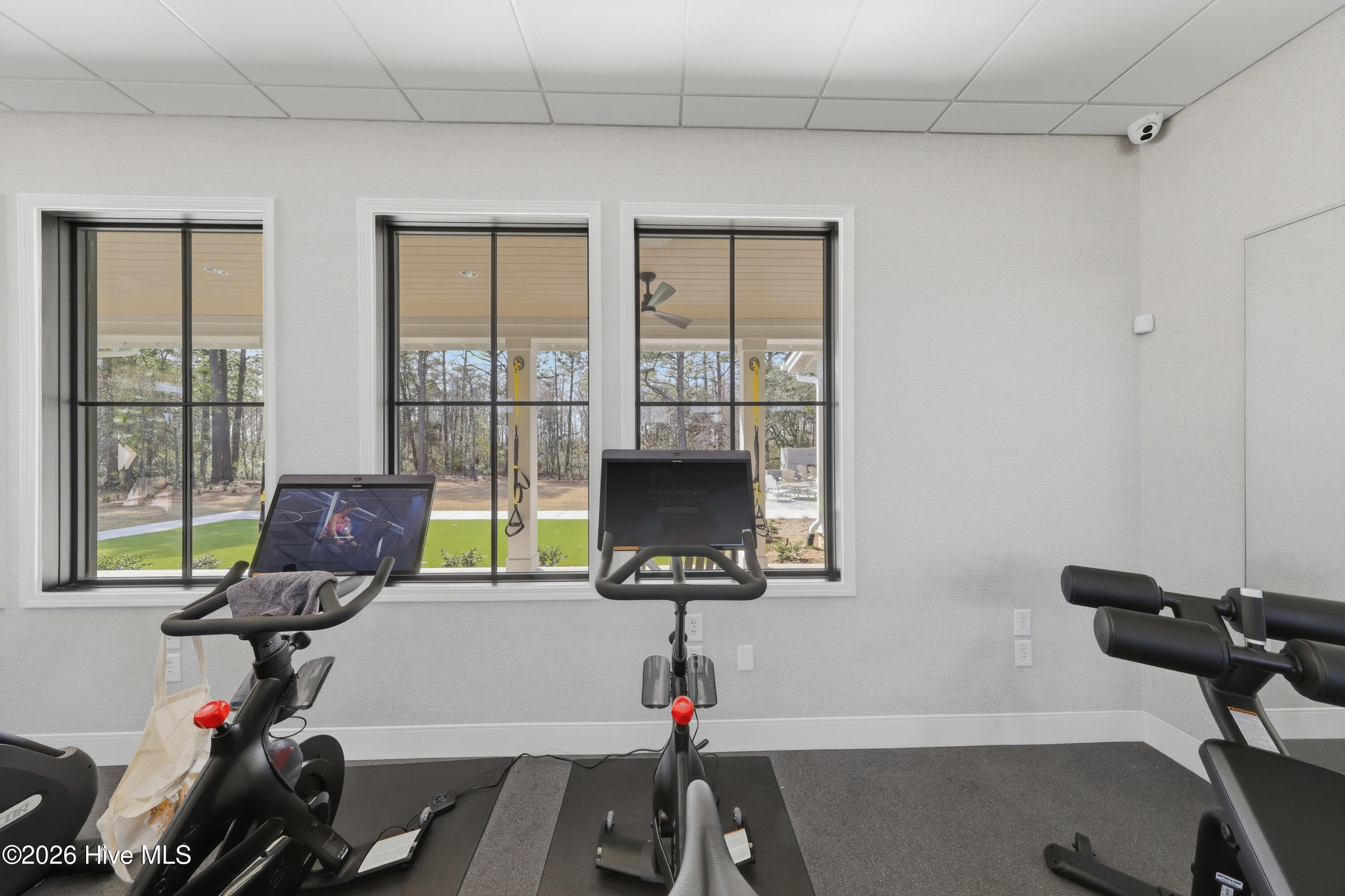 100569127 | Photo 72