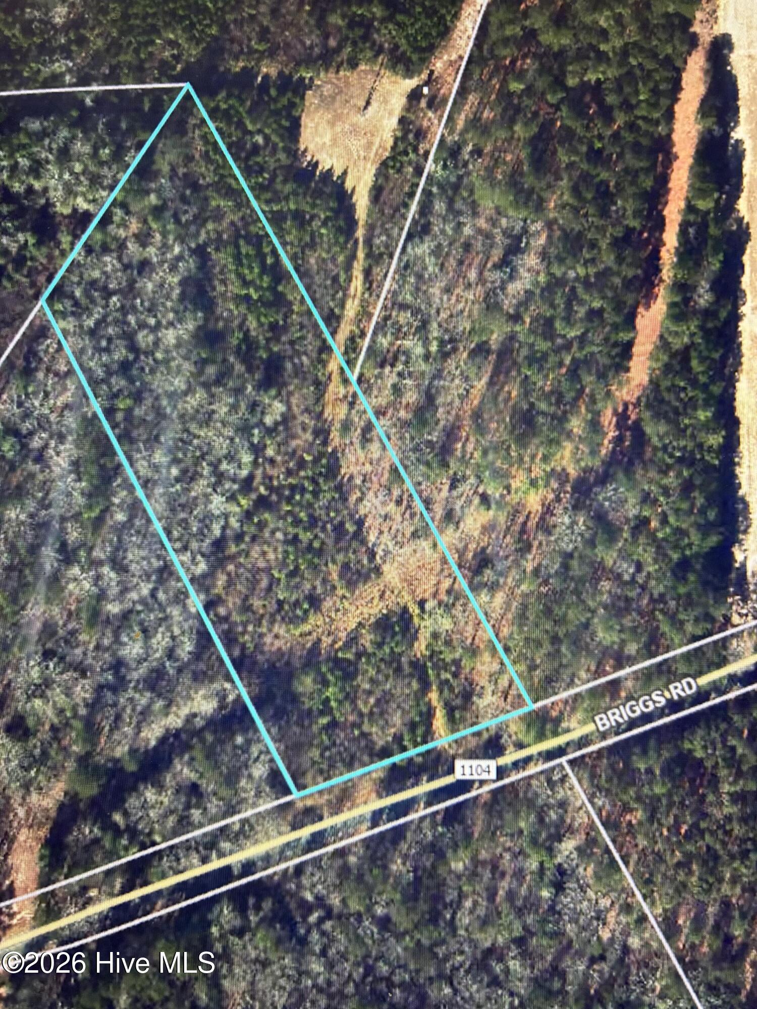 Homes for sale in Cameron, NC | 00 Briggs Rd, Cameron, NC 28326 | MLS# 100549242