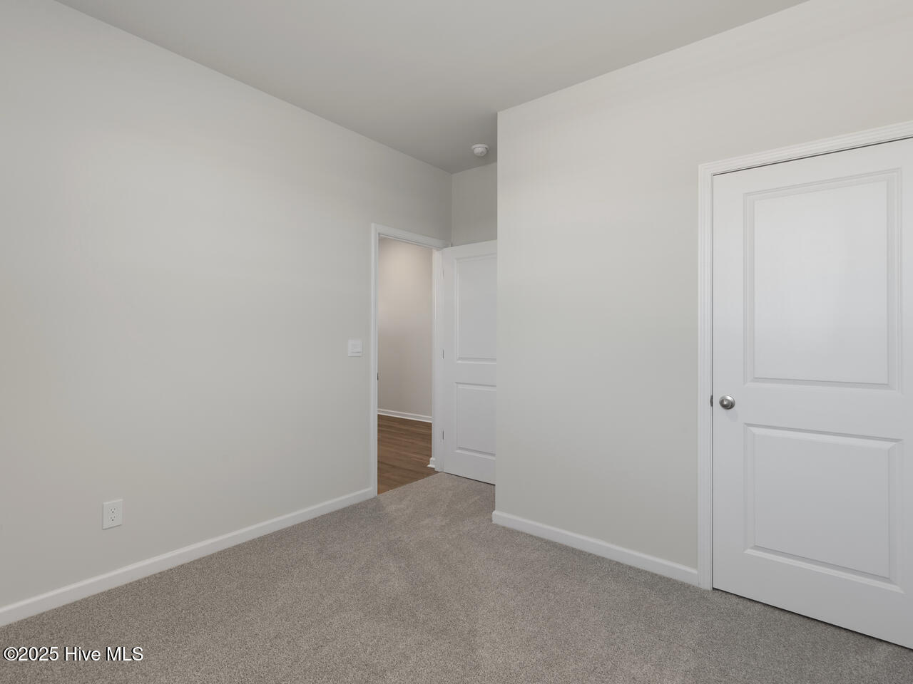 100562093 | Photo 28