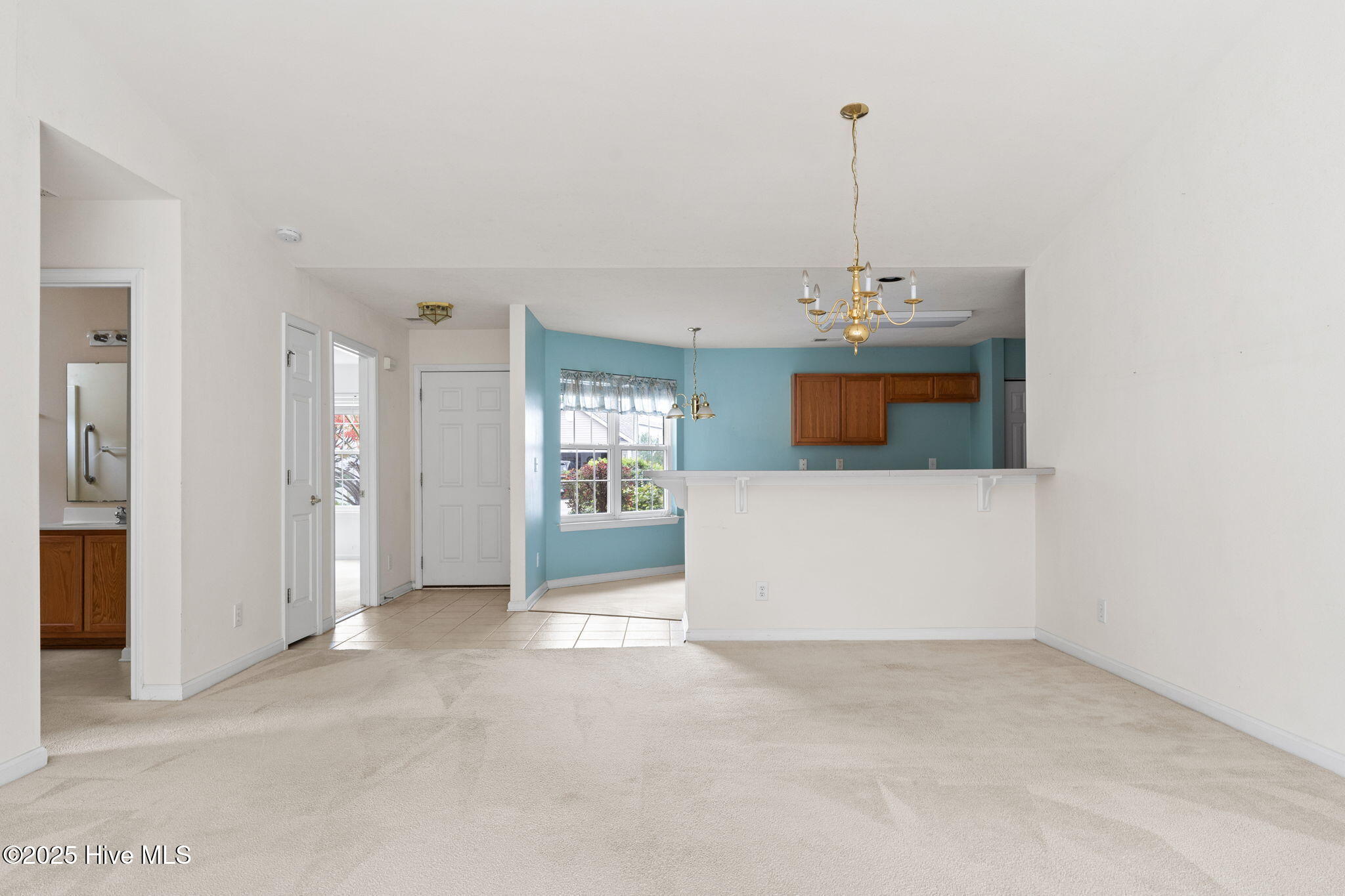 100536152 | Photo 23