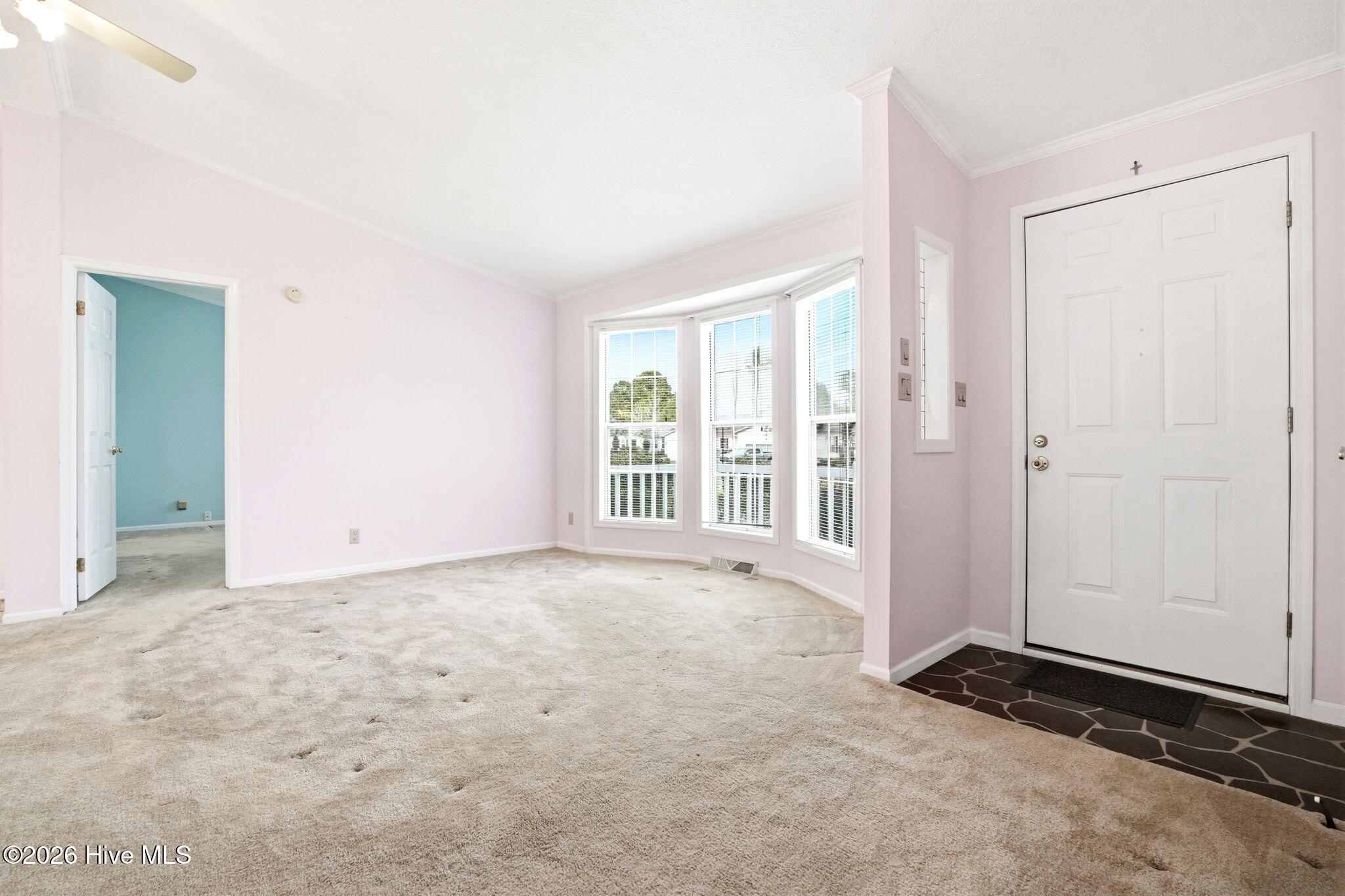 100561756 | Photo 23