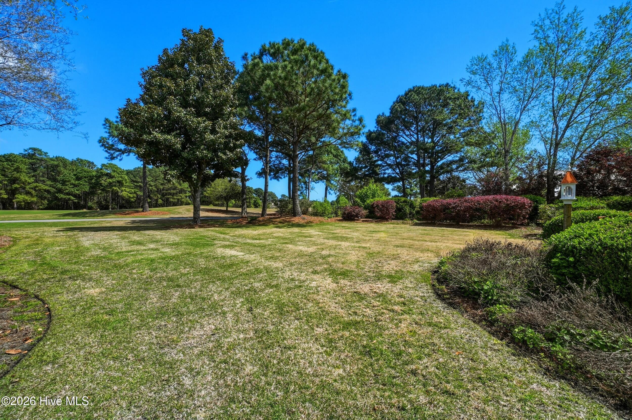 100566106 | Photo 49