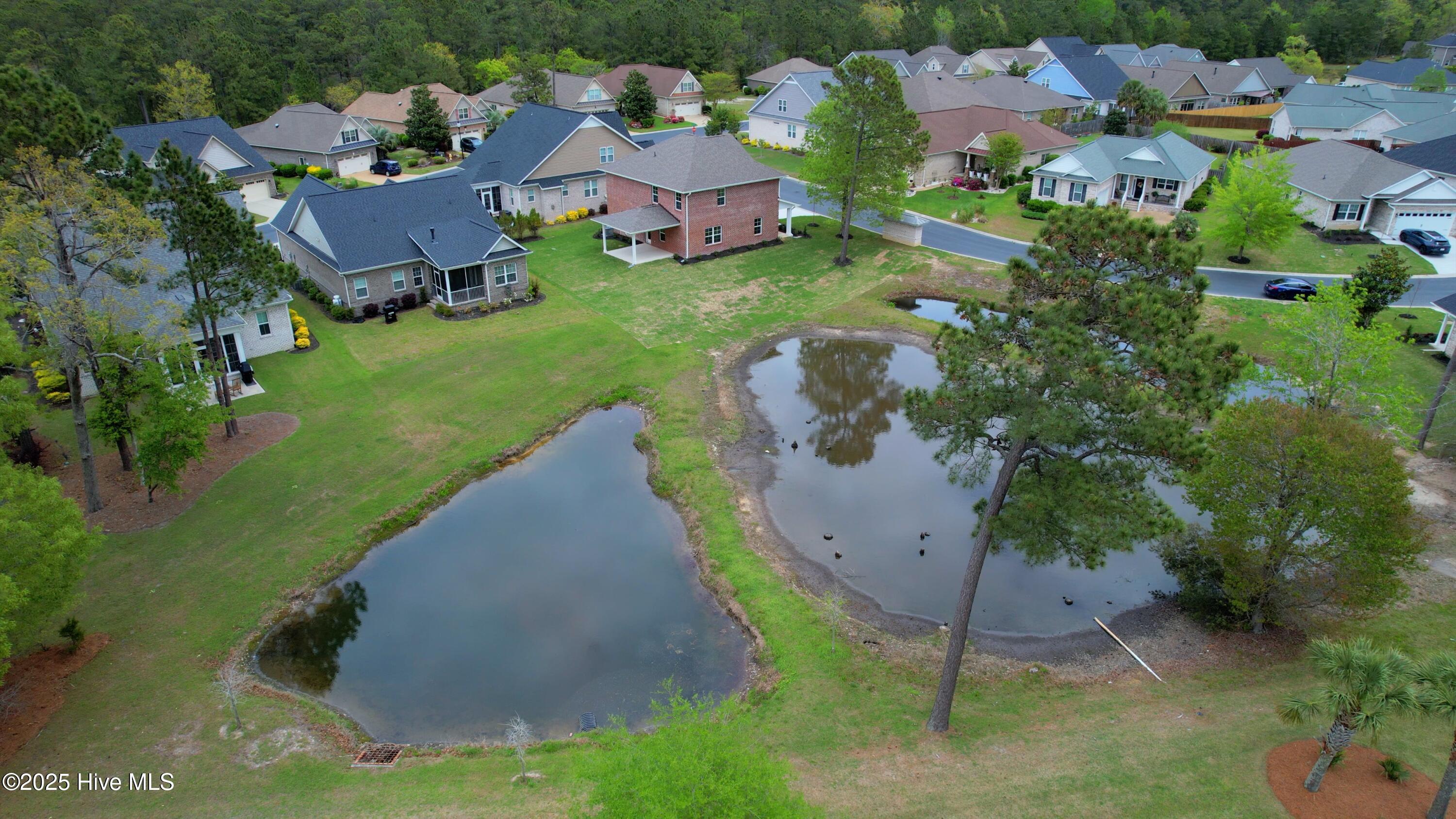 100428126 | Photo 35