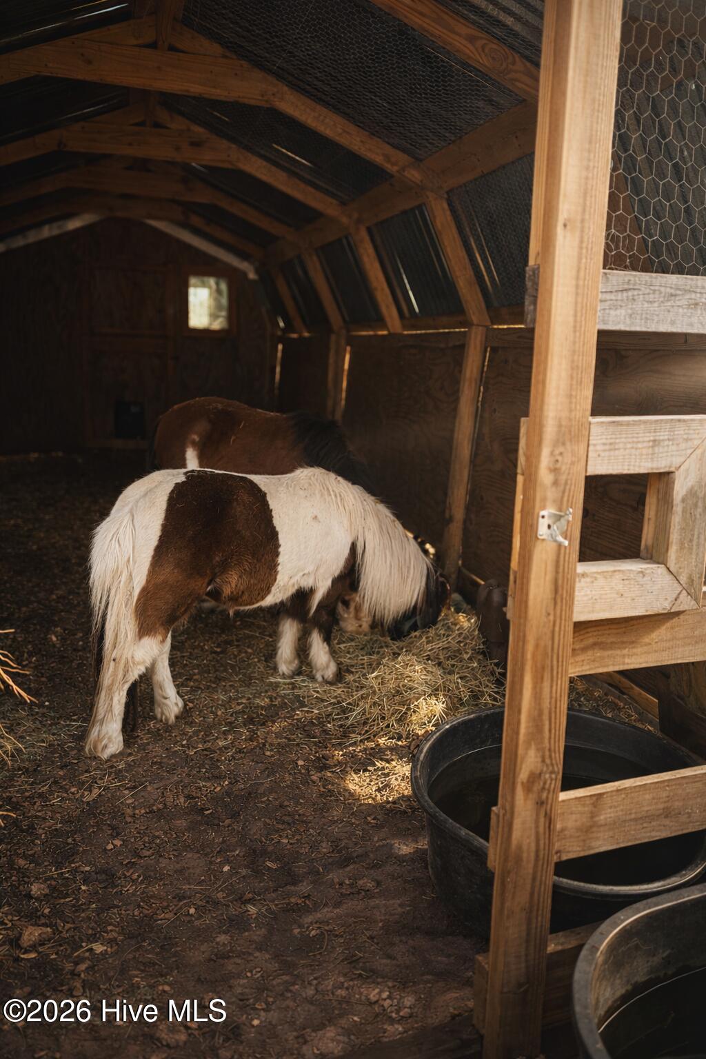 100556828 | Photo 37