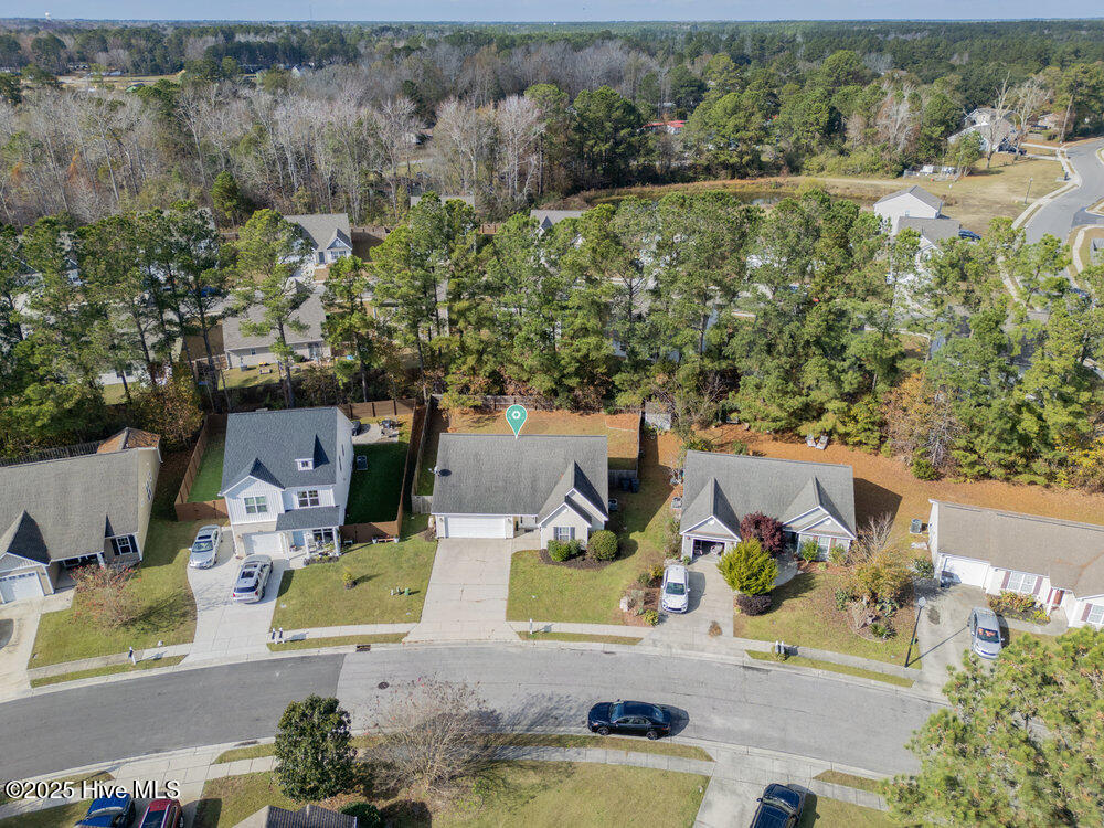 100543937 | Photo 29