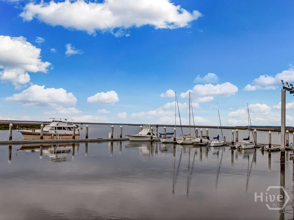 374 Coffee Bluff Villa Road, Savannah, GA 31419 Listing Photo  43