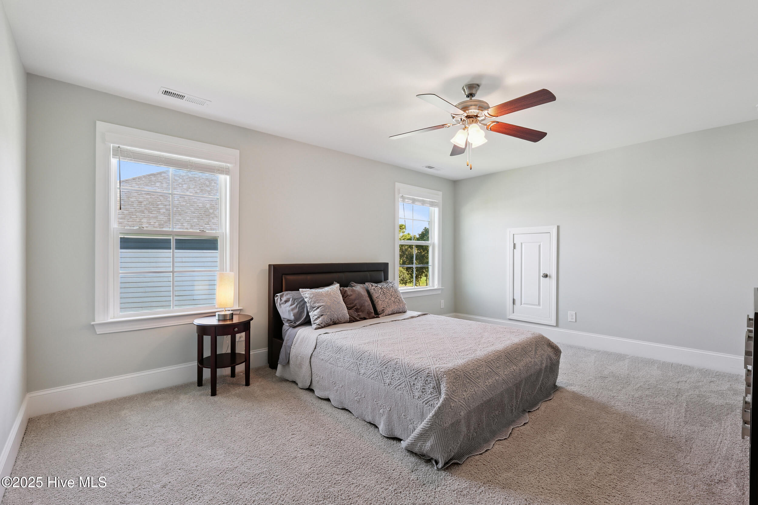 100521599 | Photo 19