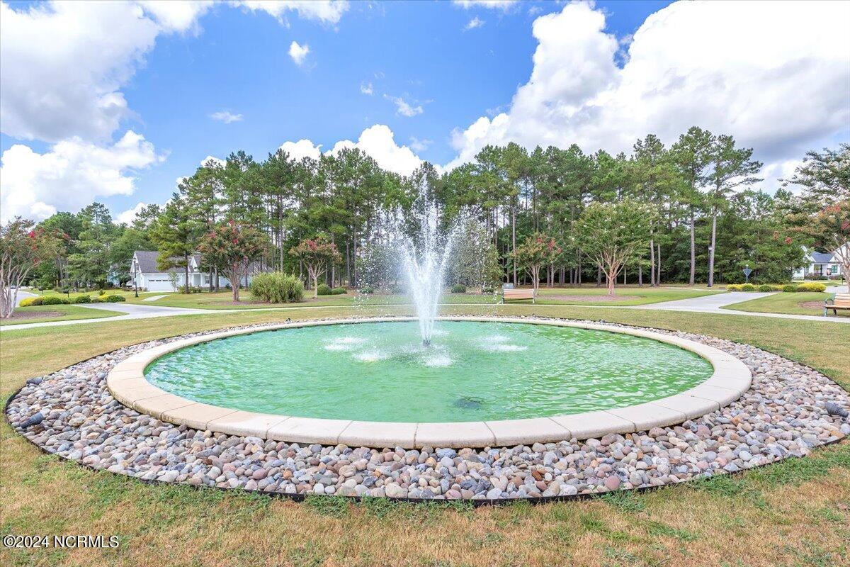 100522992 | Photo 42