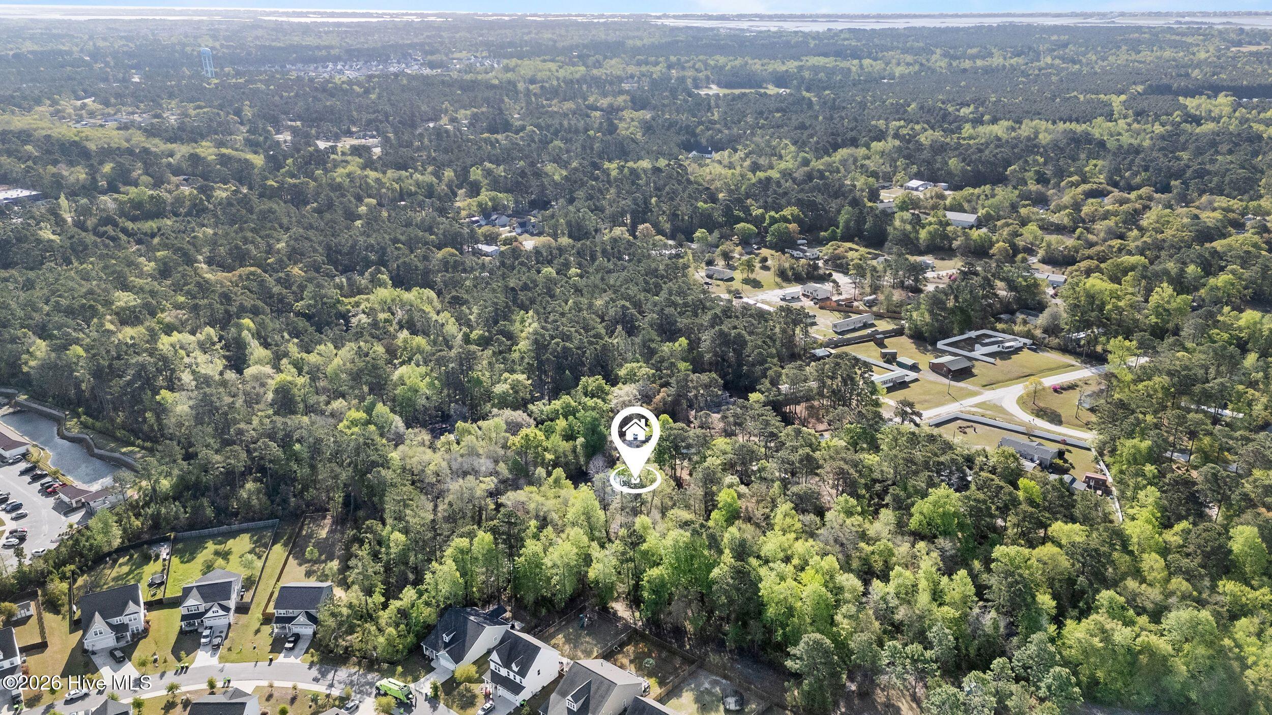 100566039 | Photo 25