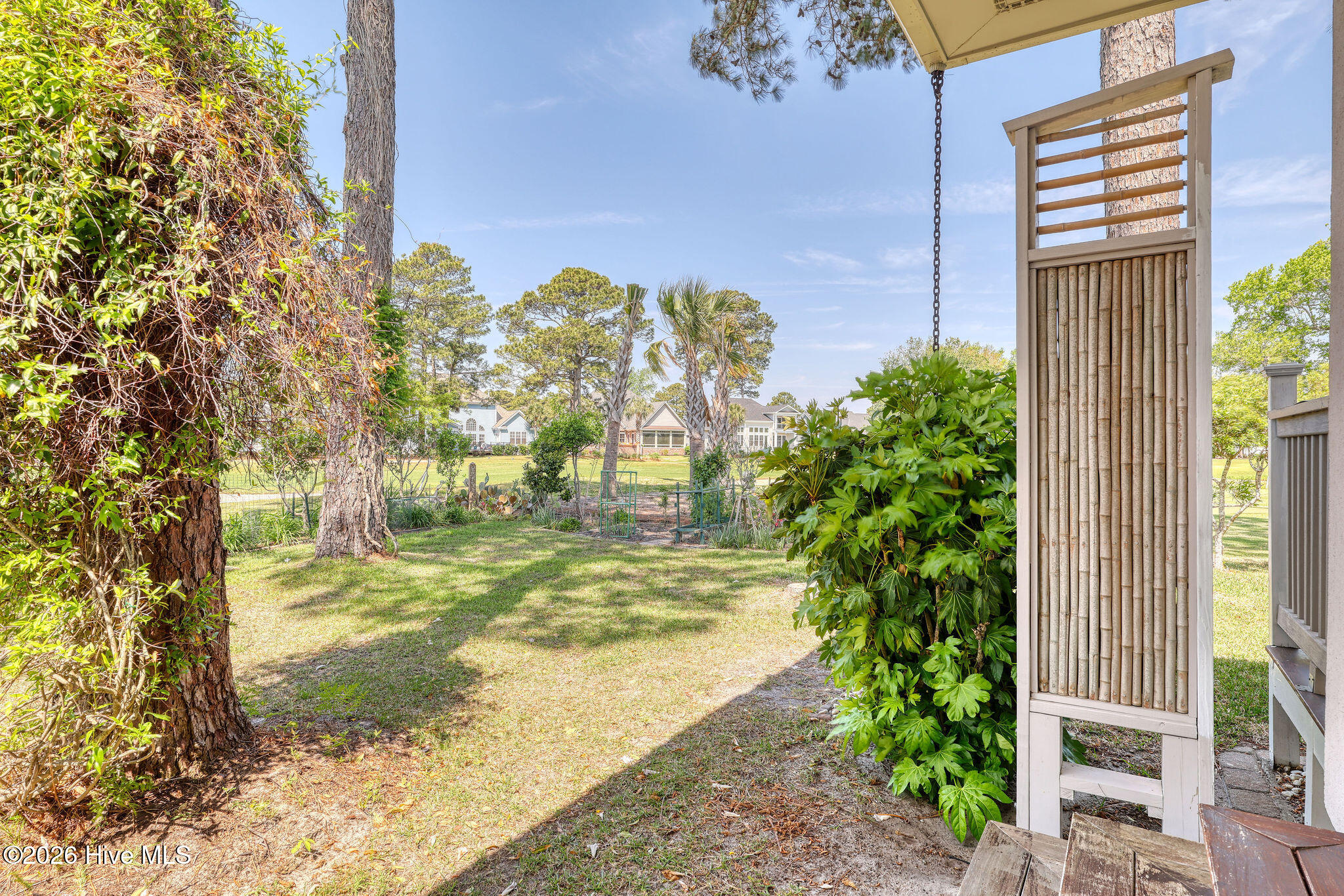 100569152 | Photo 64