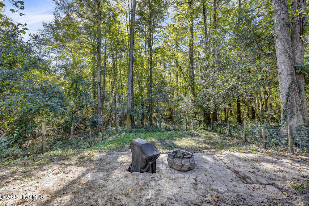 100537257 | Photo 25