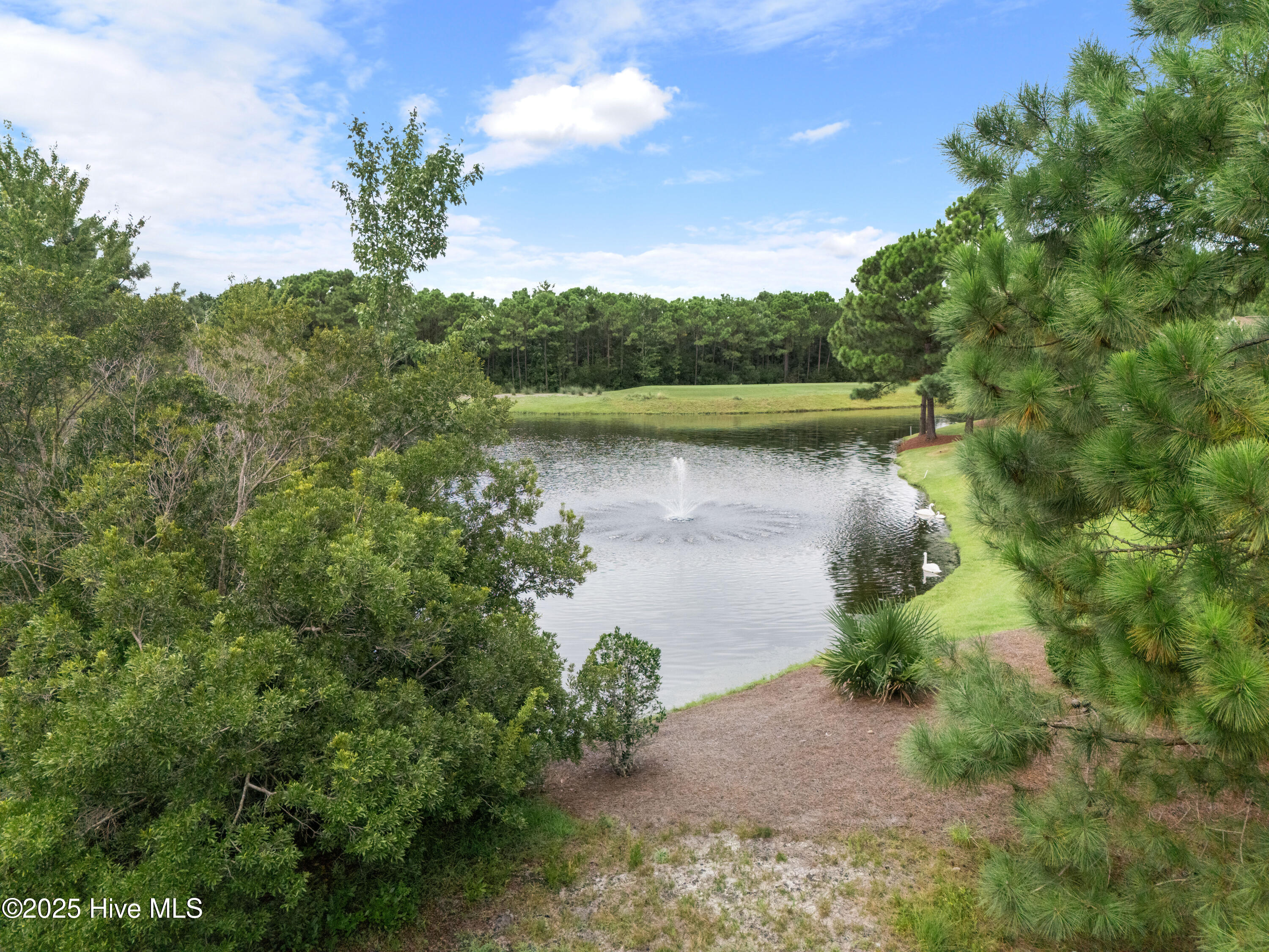 100569790 | Photo 27