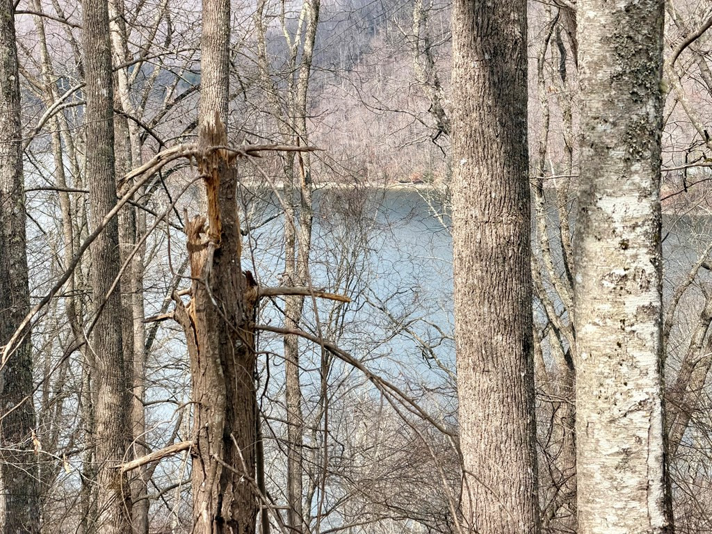 Homes for sale in Nantahala, NC | Lot 12 Lake Vista Cir, Nantahala, NC 28781 | MLS# 98500294