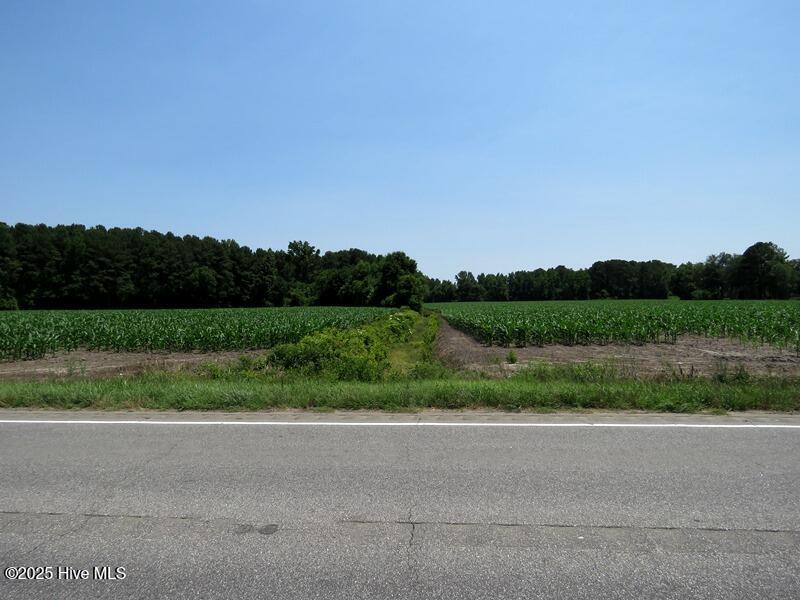 Homes for sale in Red Springs, NC | Tbd Hwy 71, Red Springs, NC 28377 | MLS# 100512614