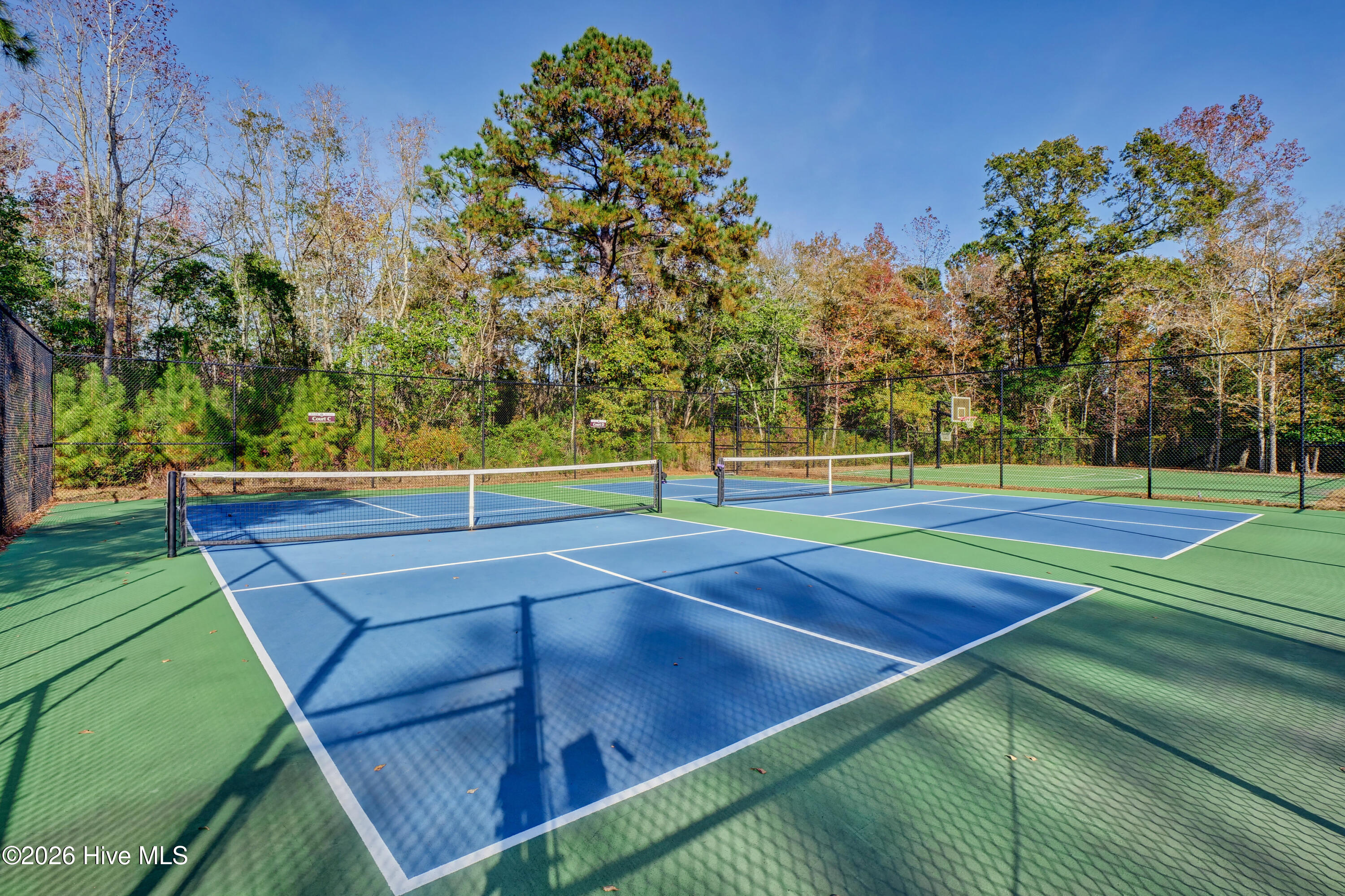 100555264 | Photo 79