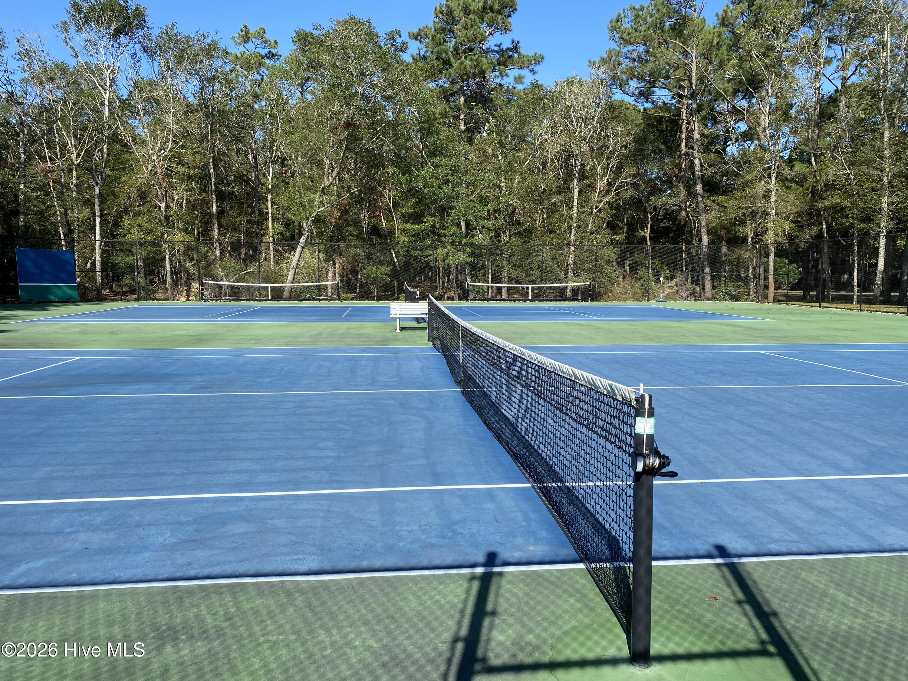 100568916 | Photo 77