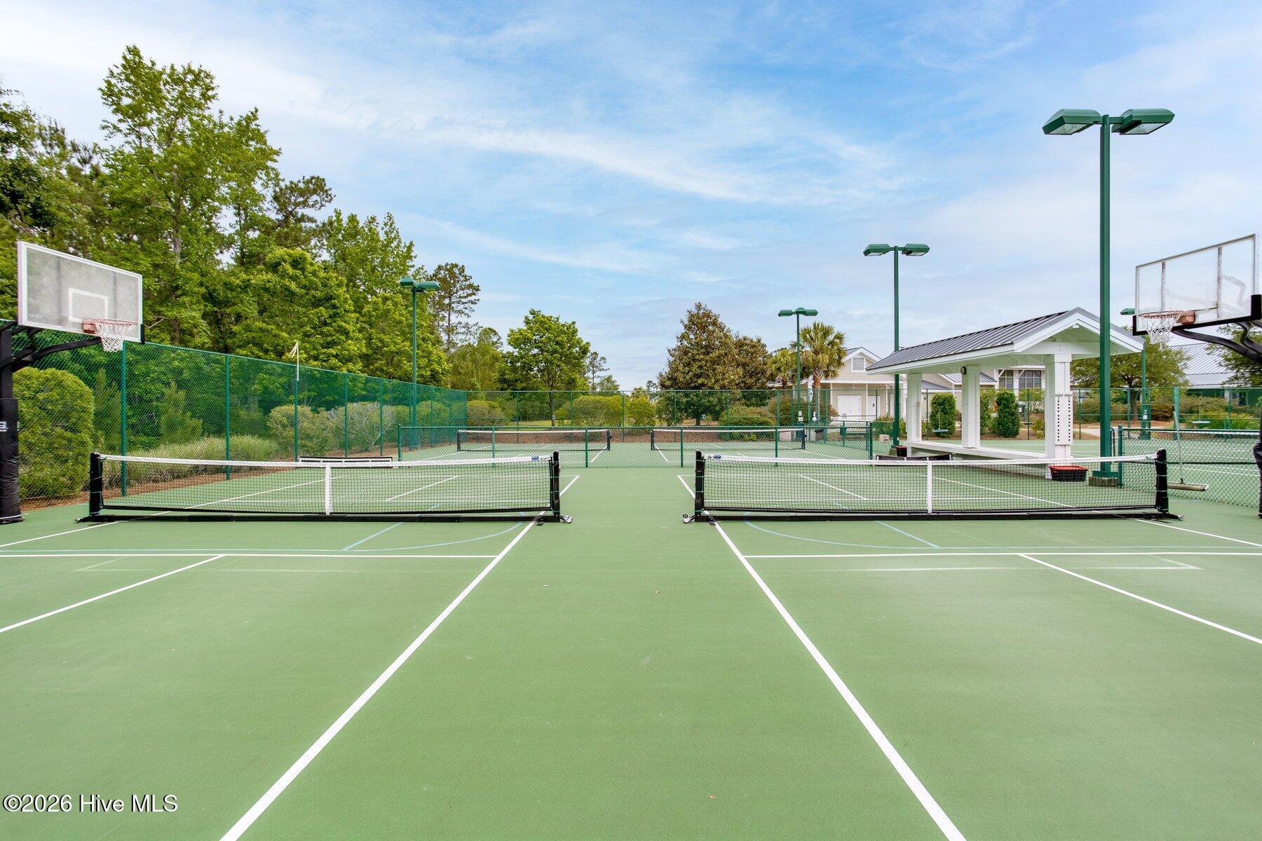 100558018 | Photo 46