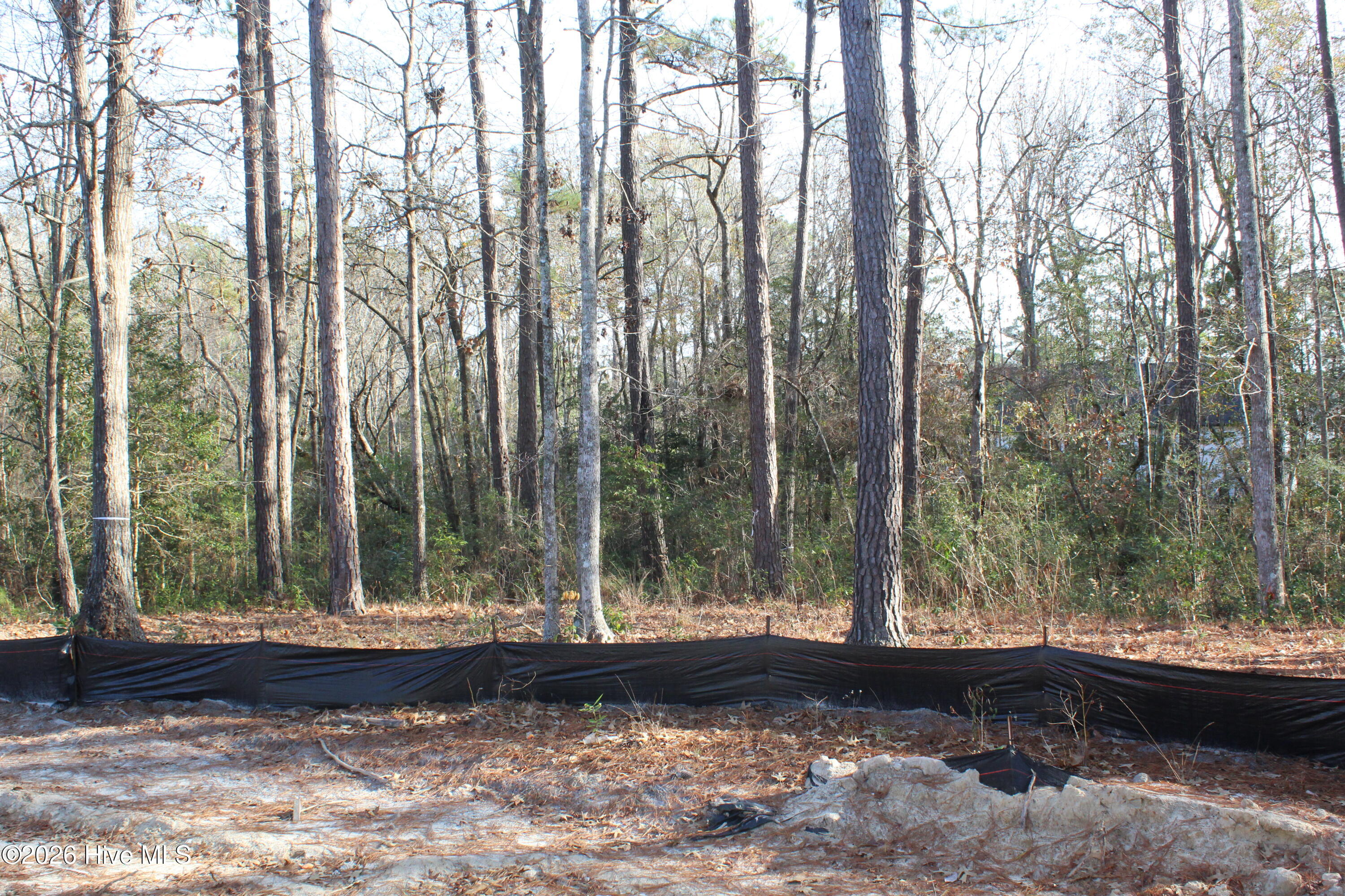 100536128 | Photo 31