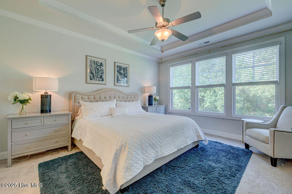 100529345 | Photo 23